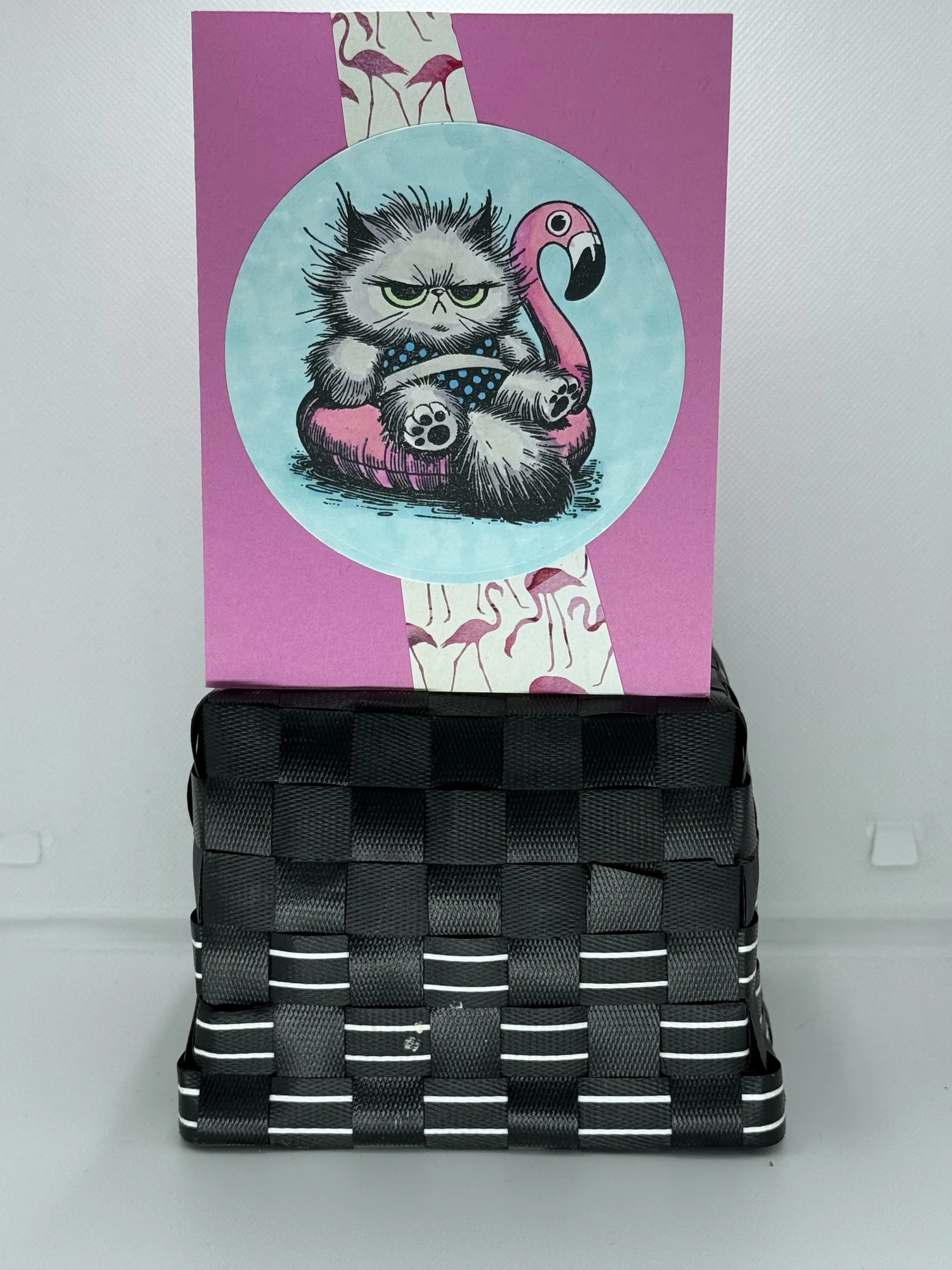 Blue on pink kitty
