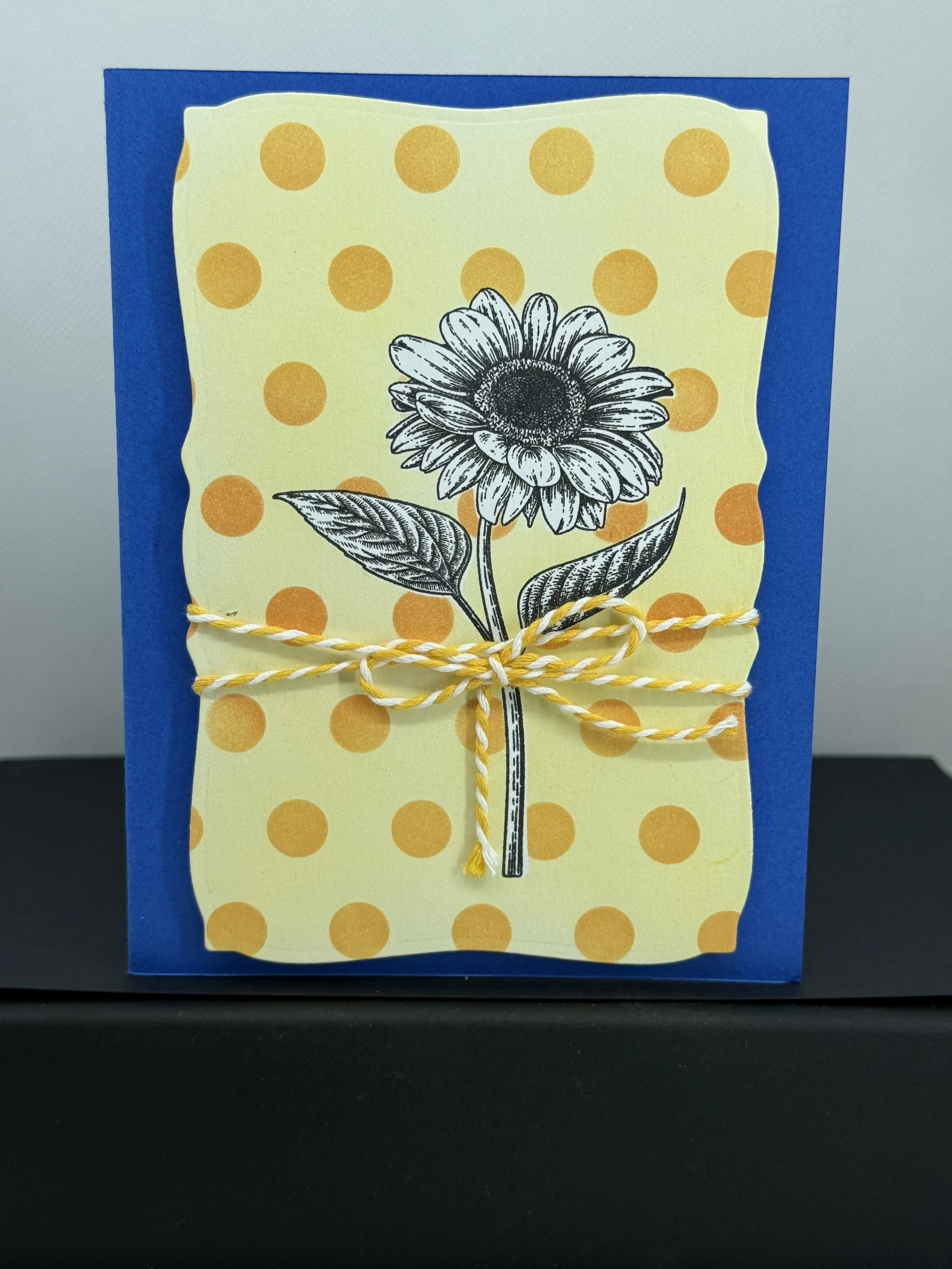 polka dot sunflower