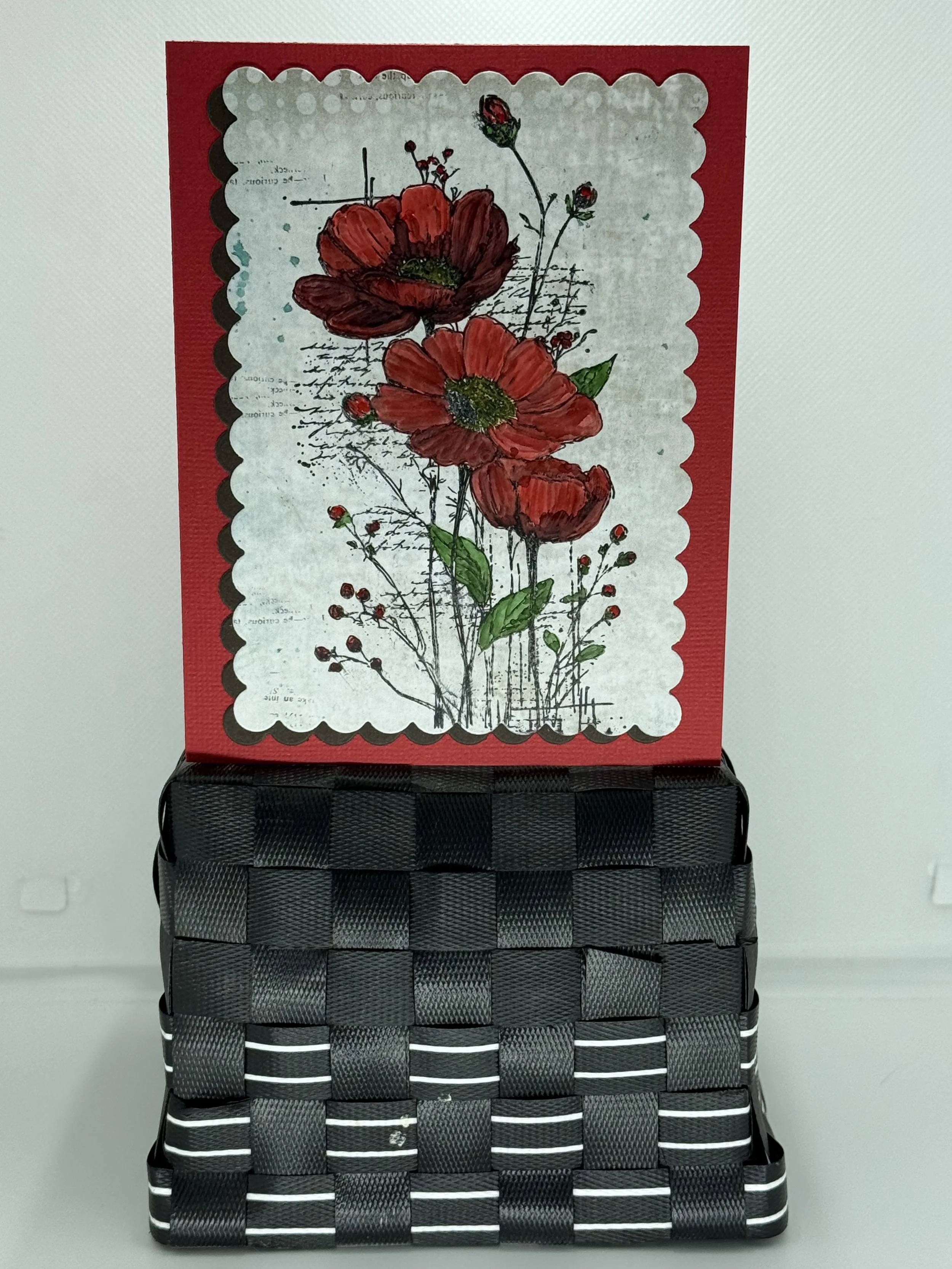 poppies
