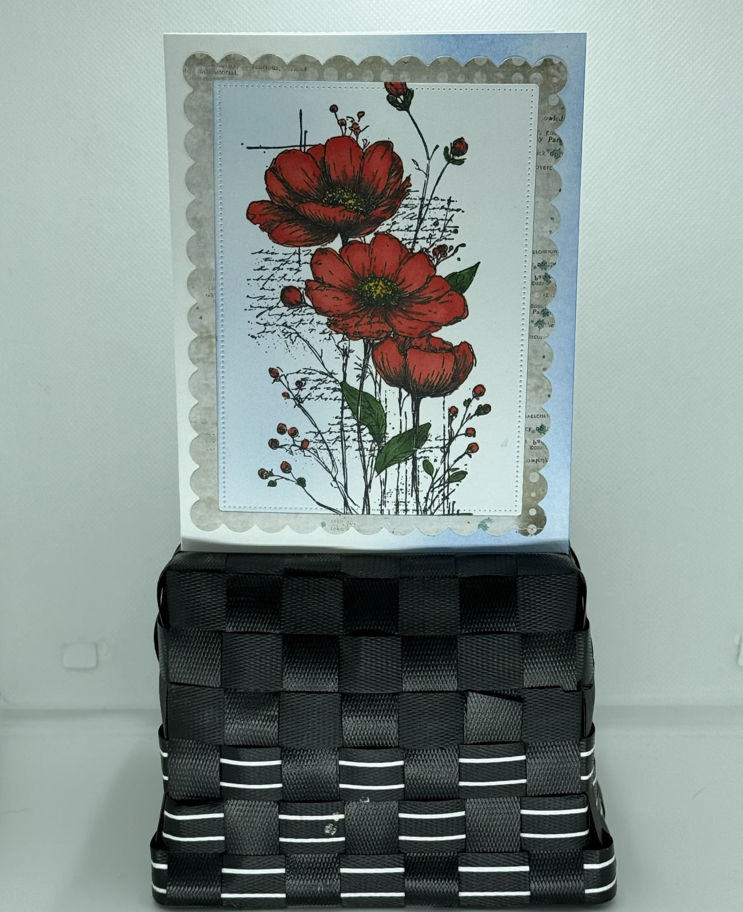 red poppies