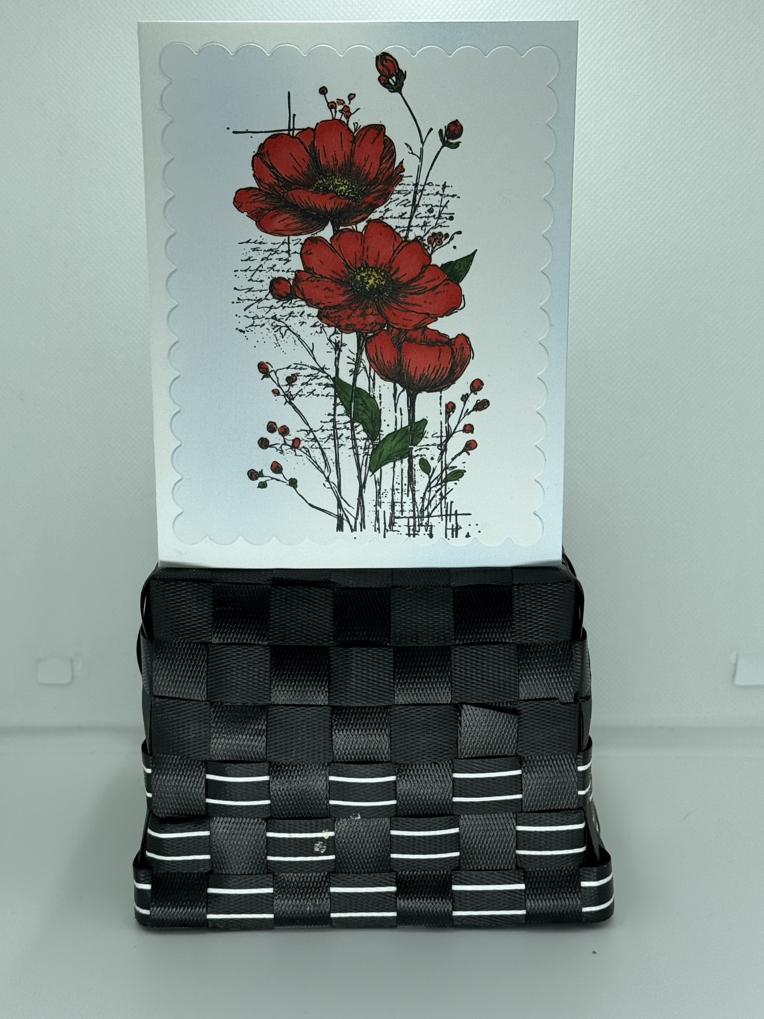 red red poppies