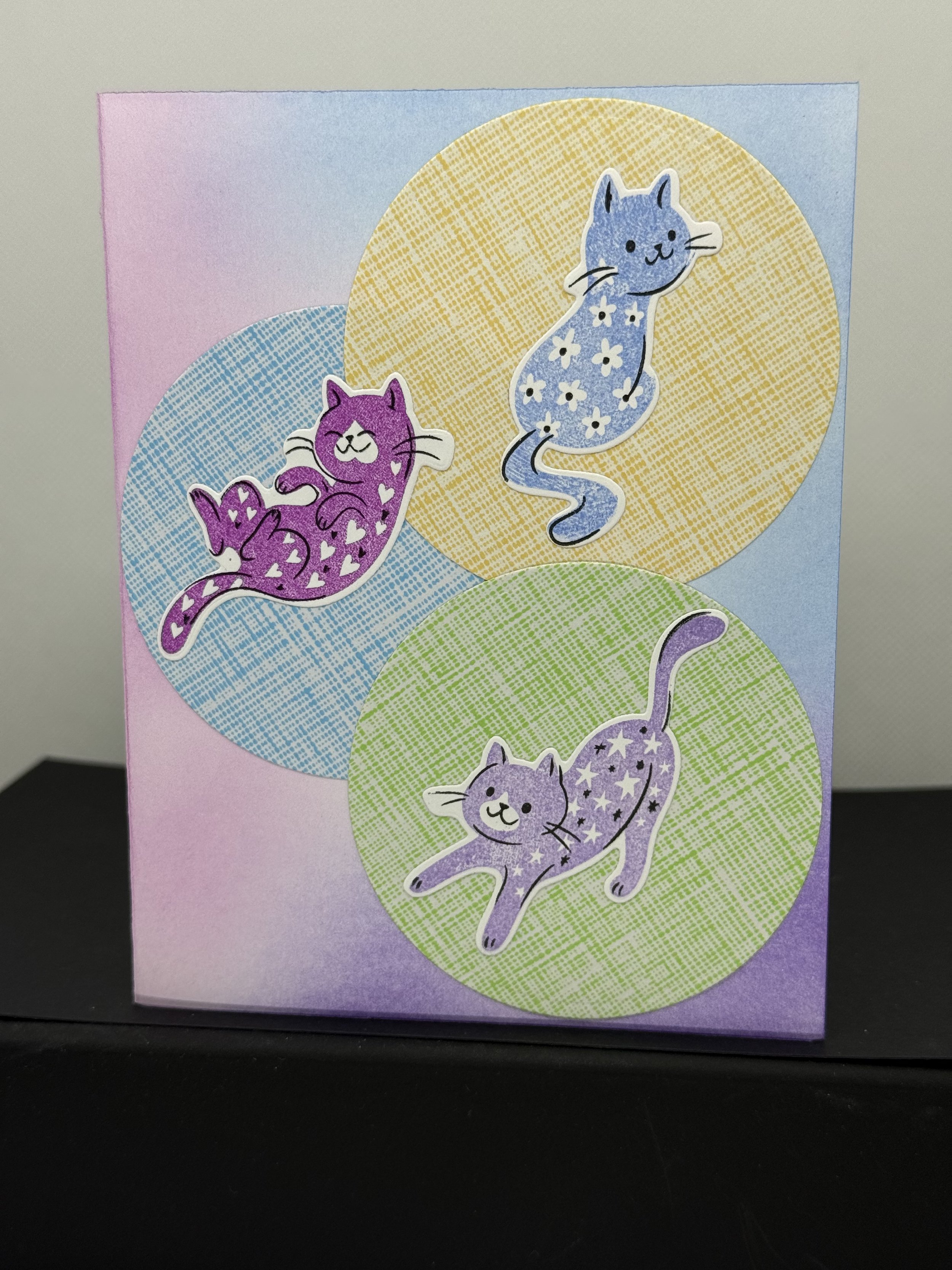 pretty kitties