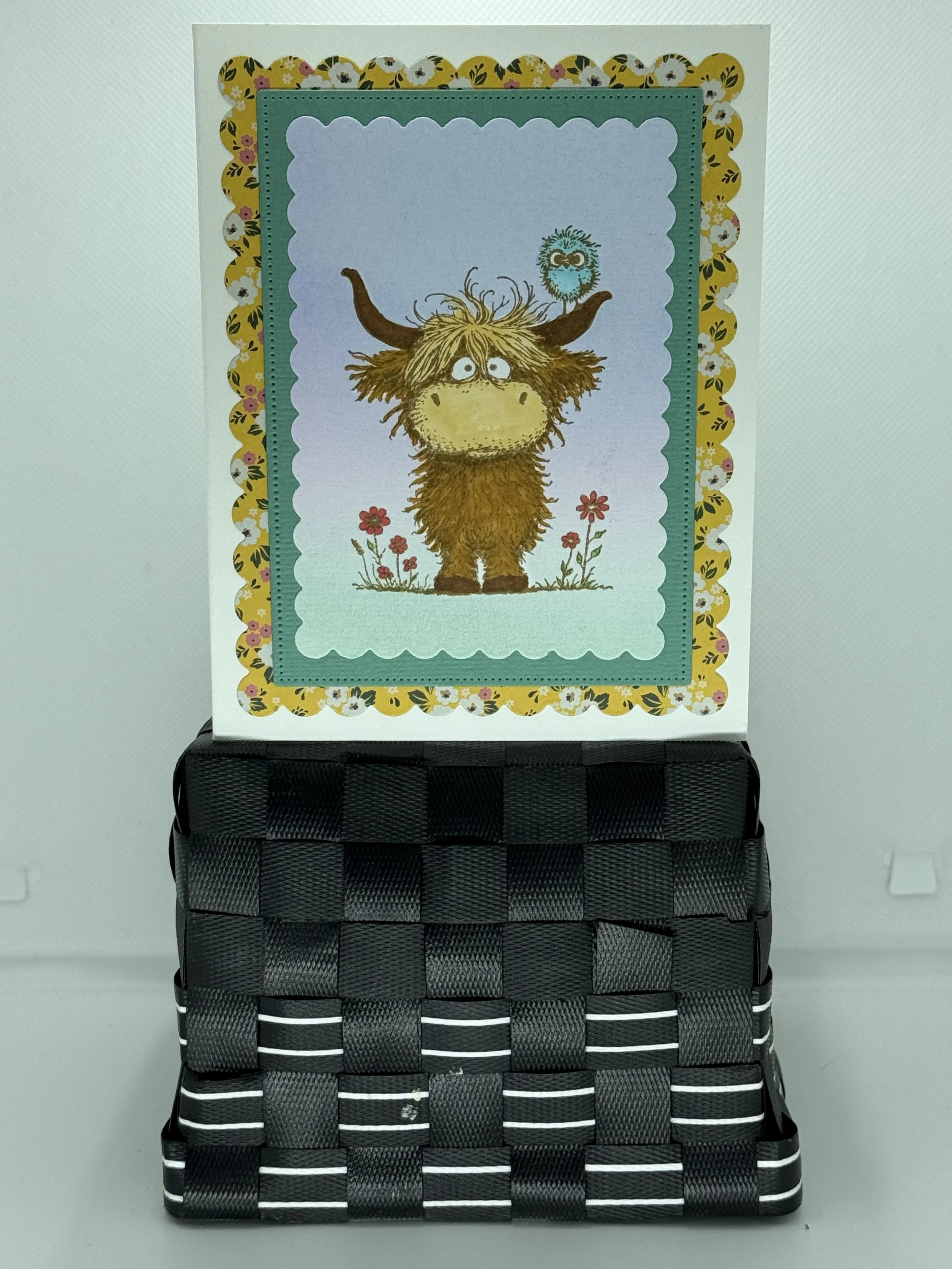 mooo