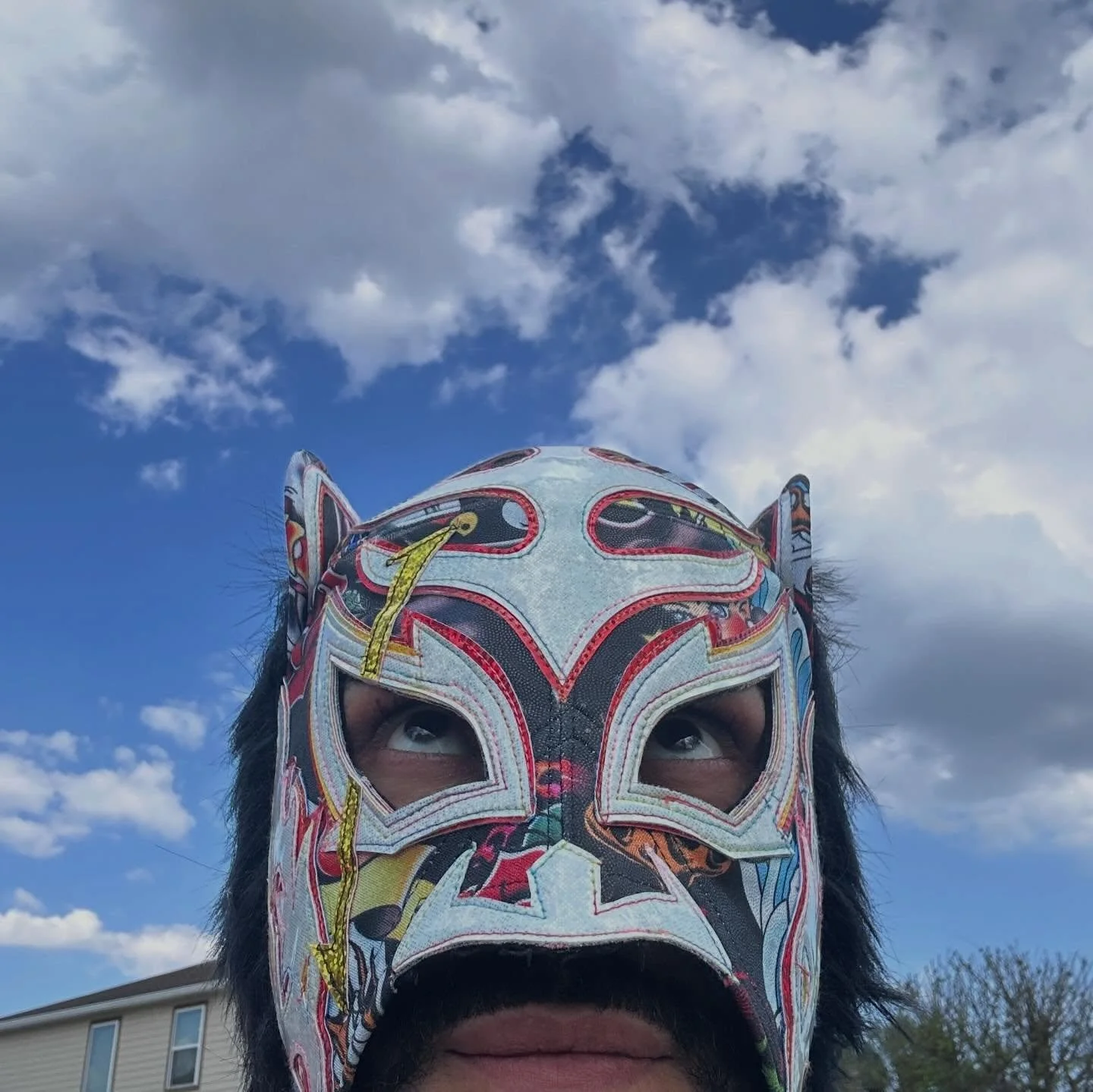 Enjoy your day hoomans! Stay #luchalit