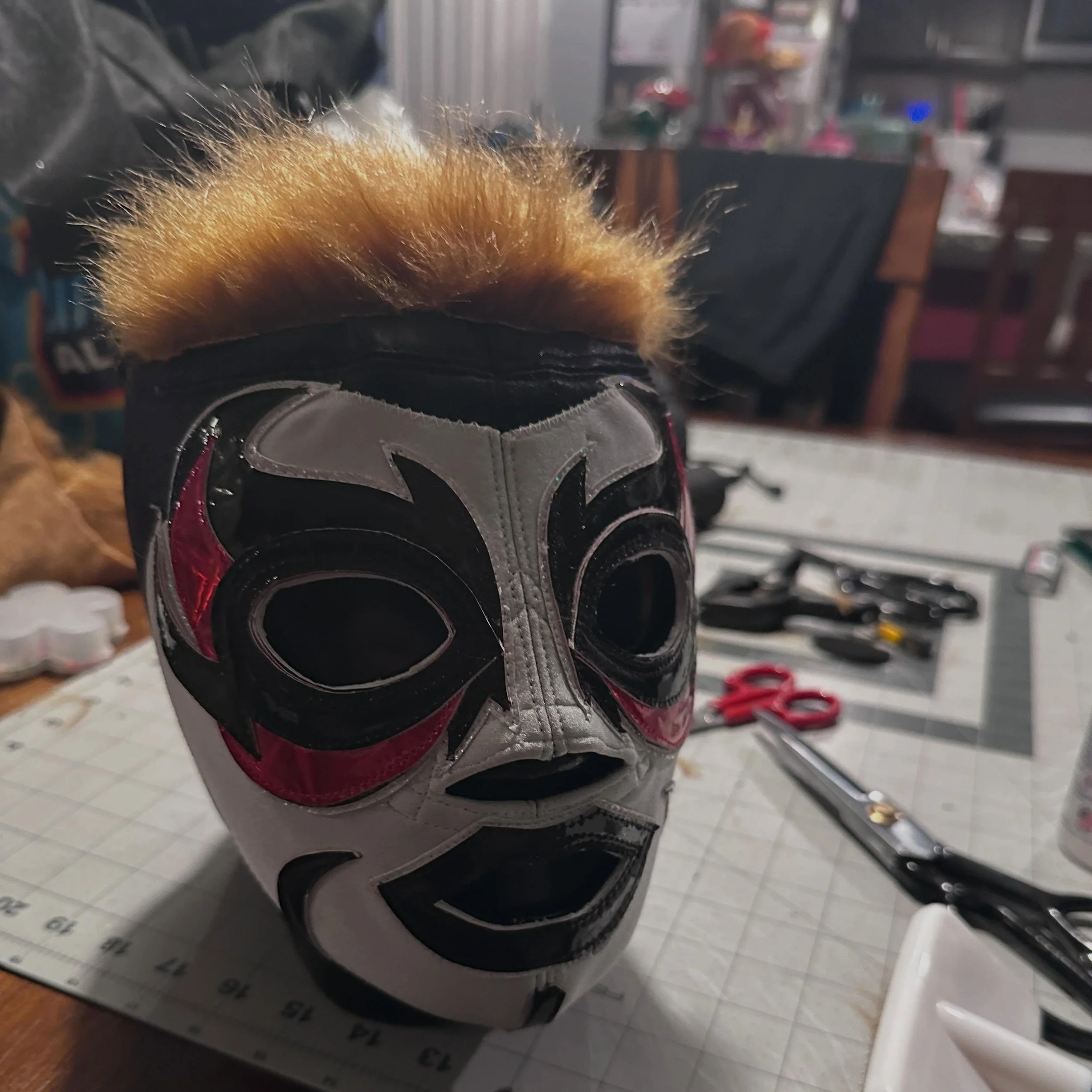 Couldn&rsquo;t get a good picture but here you go hoomans! 

Mascara de Mini Danhausen #luchahausen #luchalit @luchathreadz