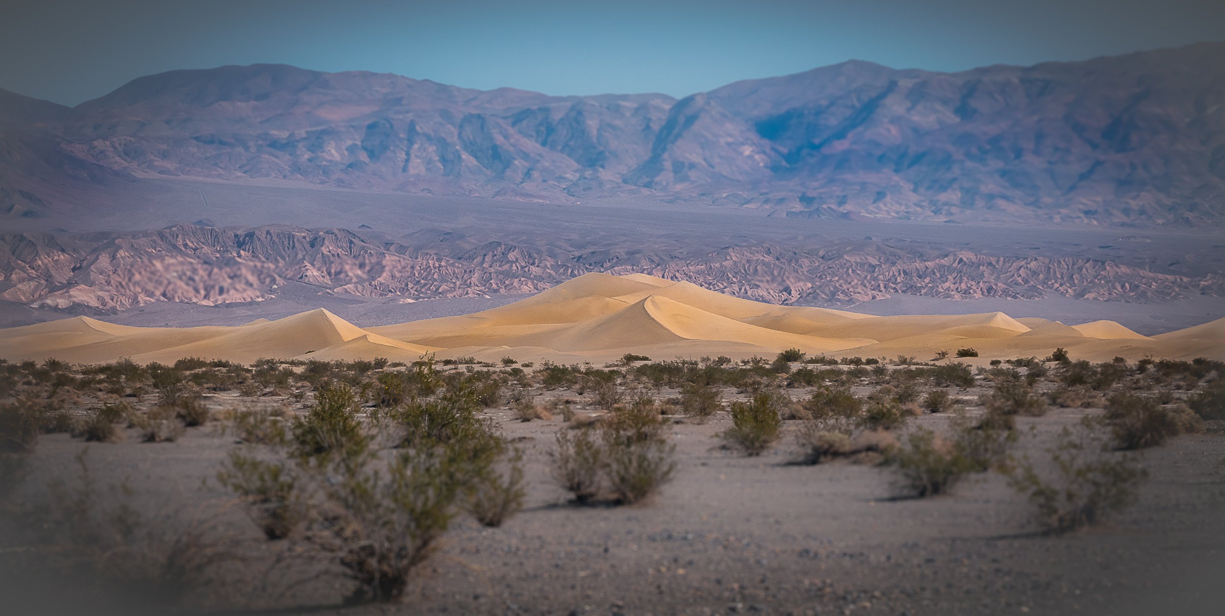 Valley Dunes