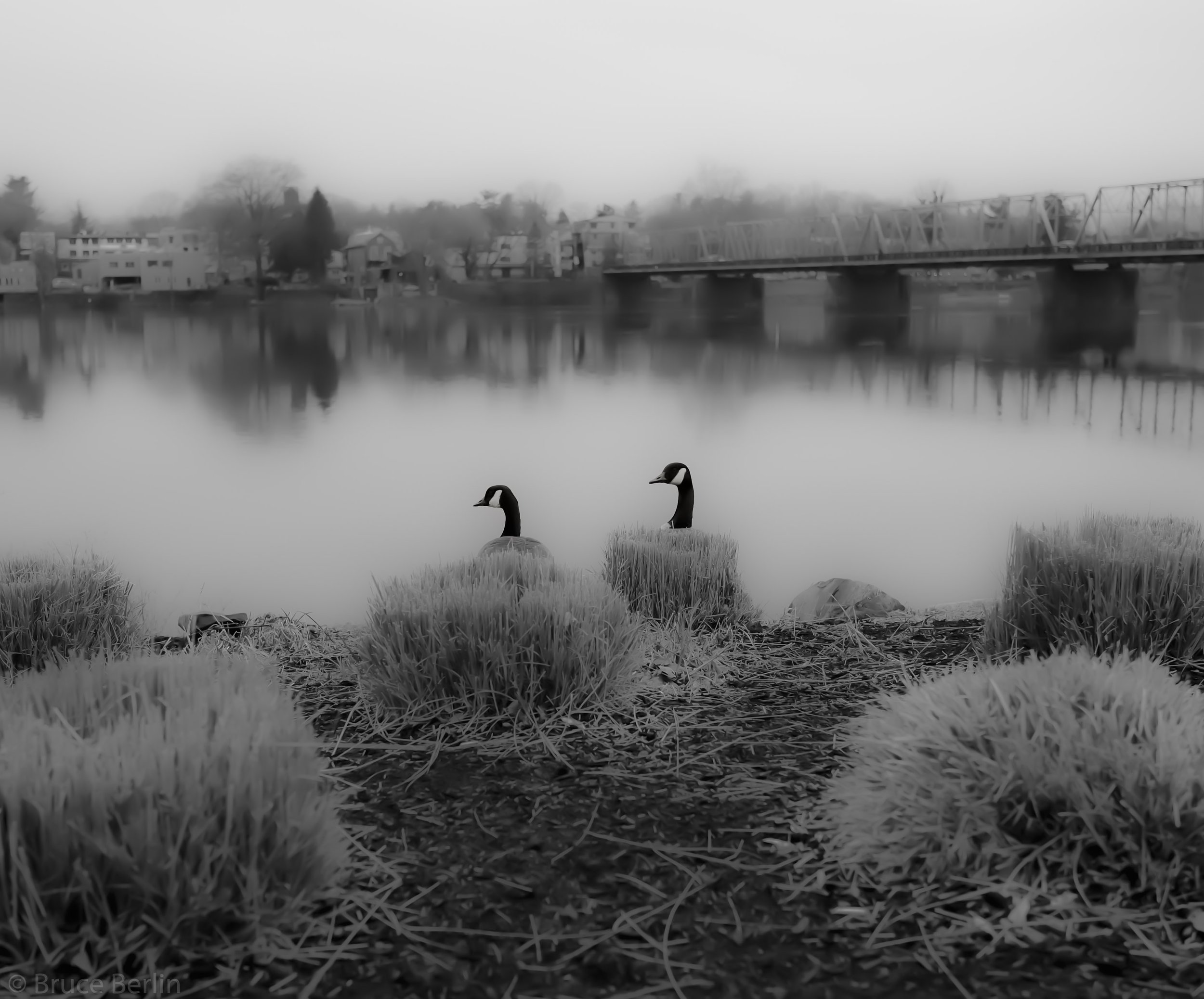 L1020802.jpg