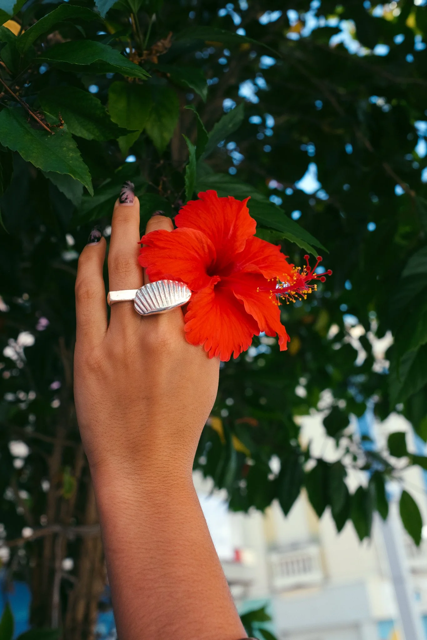 caro photoshoot-94.jpg