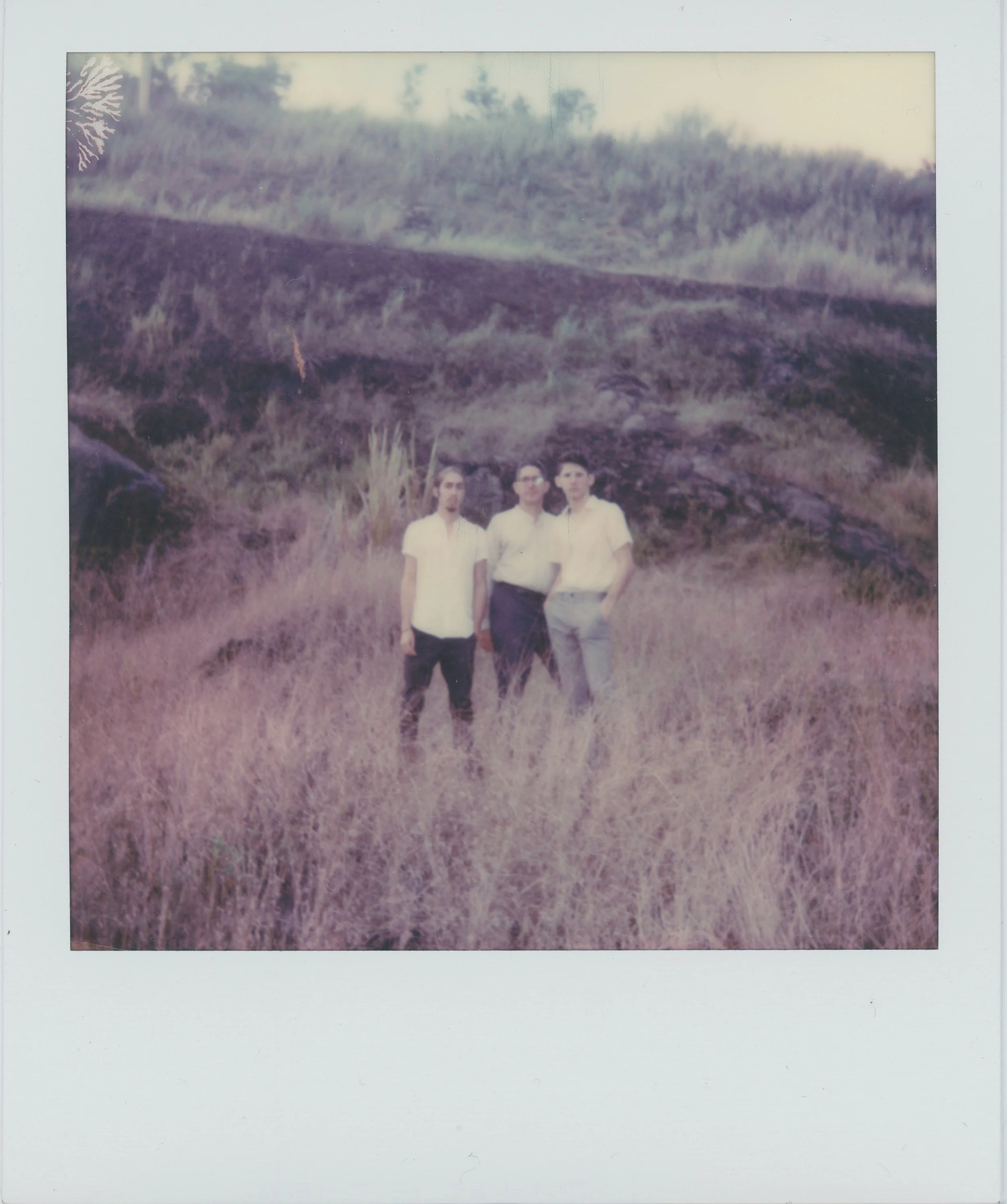 del mismo racimo718_Original.jpg