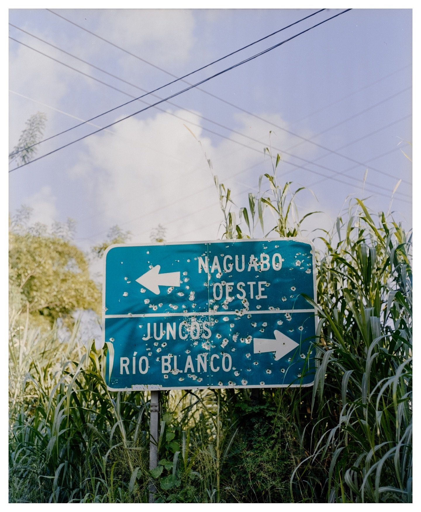 Paisajes que nunca compart&iacute;
Naguabo, 2021
&bull;
&bull;
&bull;
&bull;
&bull;
&bull;
&bull;
&bull;
&bull;
&bull;
&bull;
&bull;
&bull;
#mamiya #mamiyarb67 #rb67 #mediumformat #mediumformatfilm #mediumformatphotography #mediumformatcamera #medium