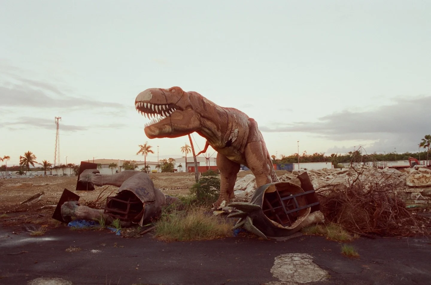 De la expo <3 
fotos que nunca compart&iacute; 

Carolina, 2023
Calle Loiza, 2025
Cabo Rojo, 2026
Hatillo,2025
R&iacute;o Piedras, 2025
Guayanilla, 2023
Hatillo, 2025
 
#35mm #filmphotography #nikonf #exposici&oacute;n #puertorico