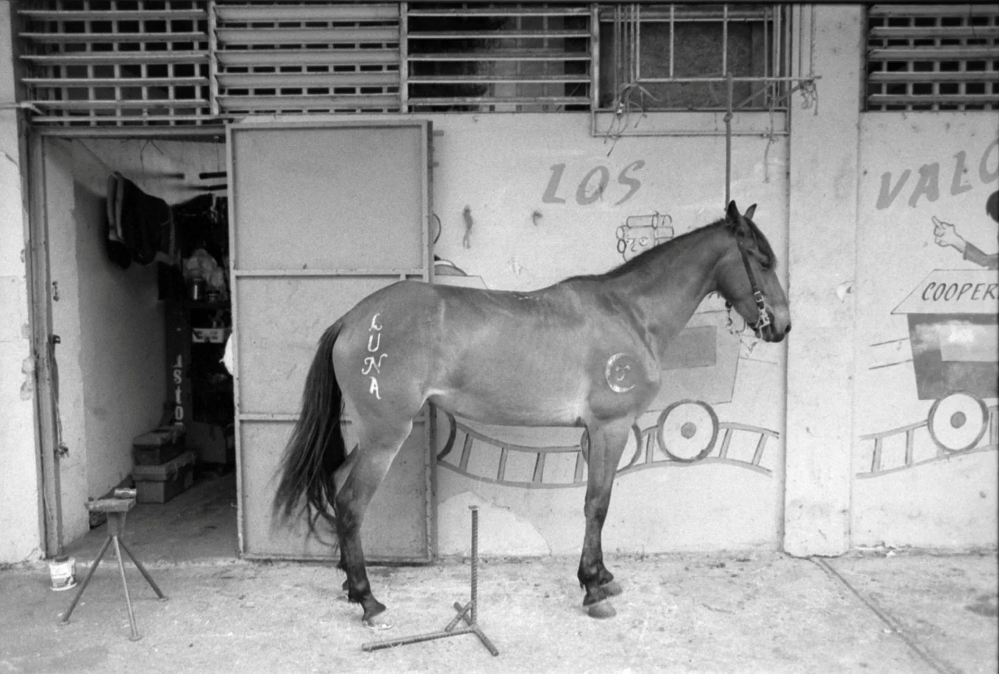 Fotos de cuando filmamos @estaislafilm 
Guayanilla, San Juan y Mayag&uuml;ez, 2021
&bull;
&bull;
&bull;
&bull;
&bull;
&bull;
&bull;
&bull;
&bull;
#35mm #kodakshootfilm #polaroidphoto #polaroidfilm #kodaktrix400