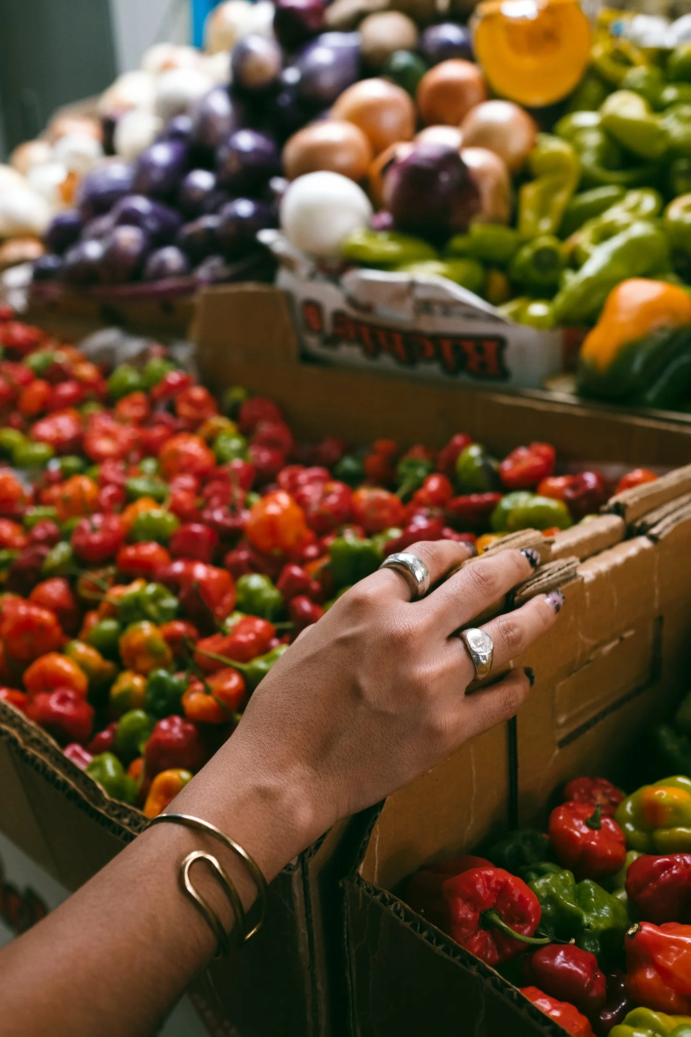 caro photoshoot-30.jpg