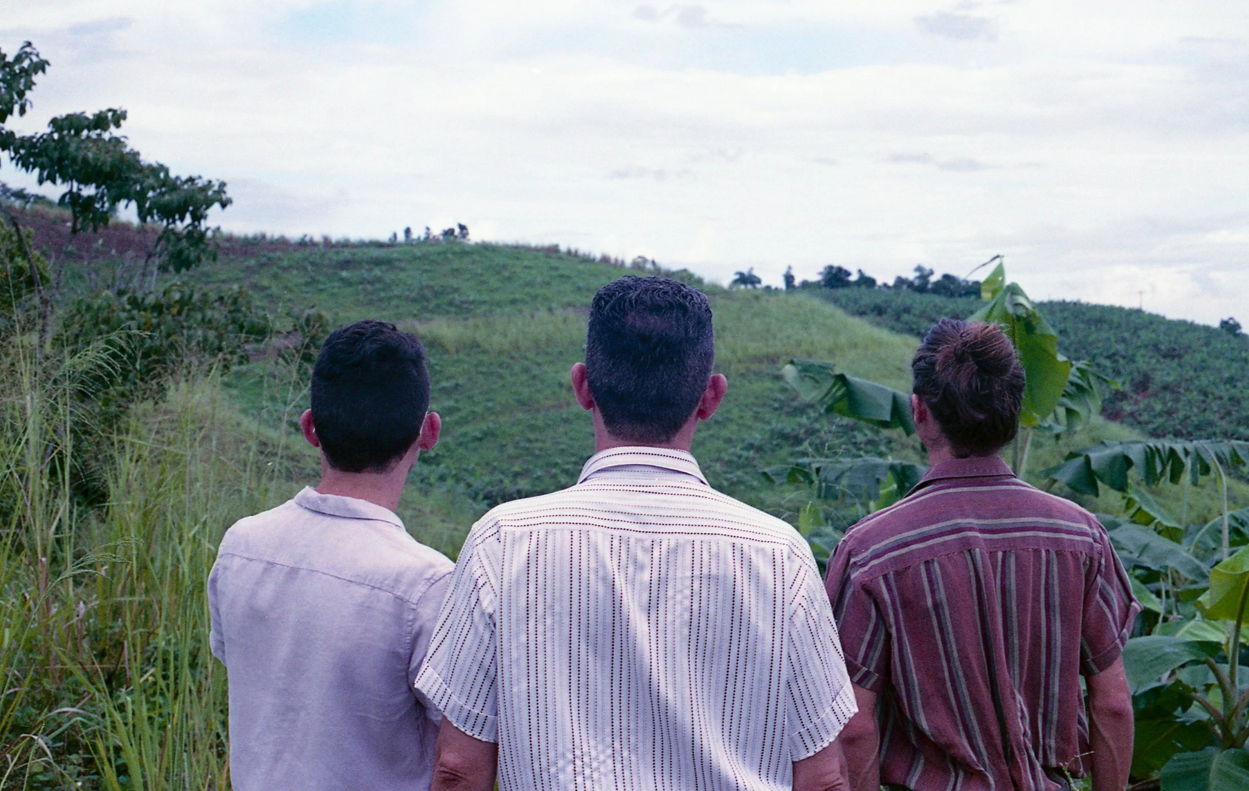 fuji 400 dmr 902_Original.jpg