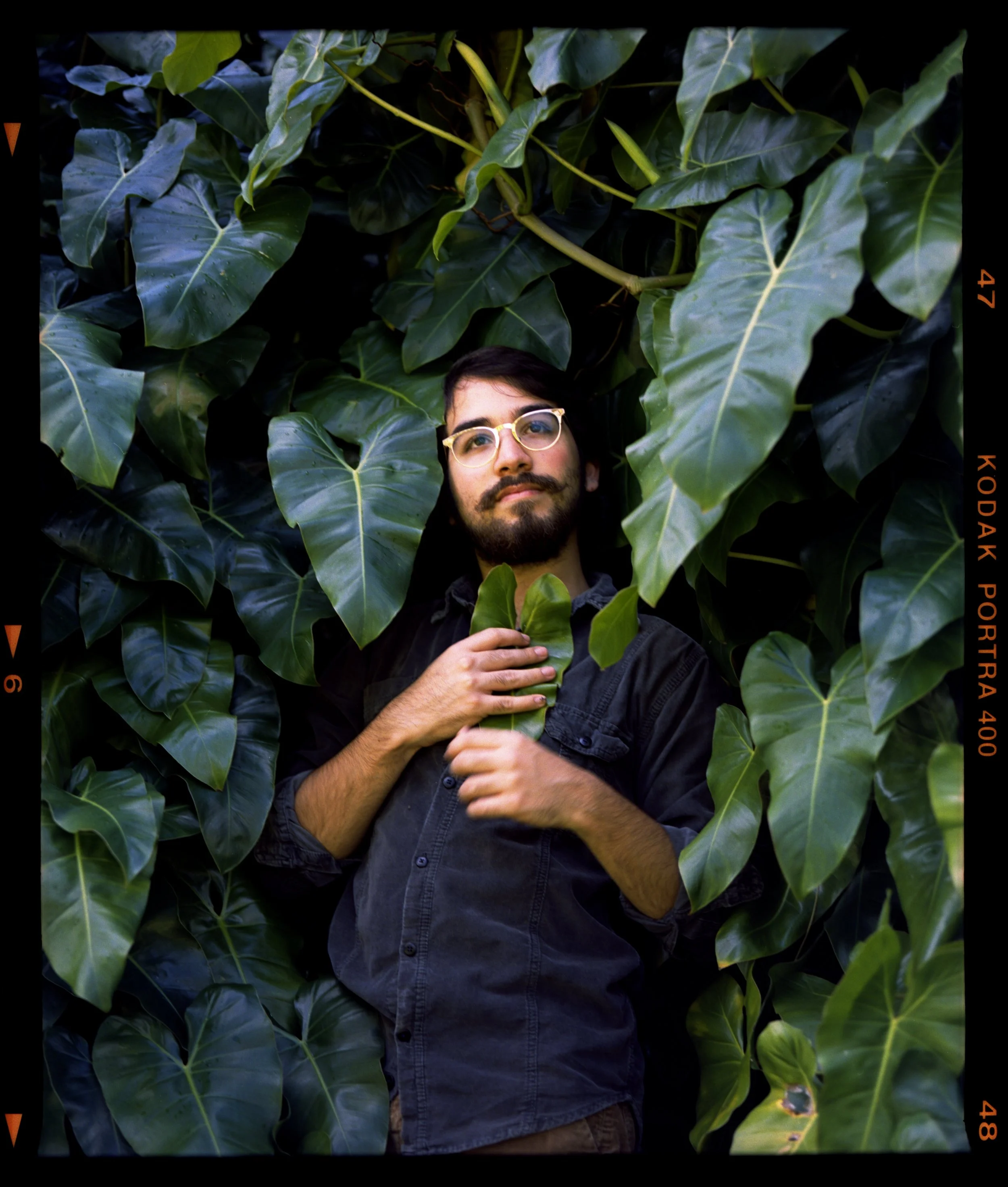 img20200401_22405383_Original 2.jpg