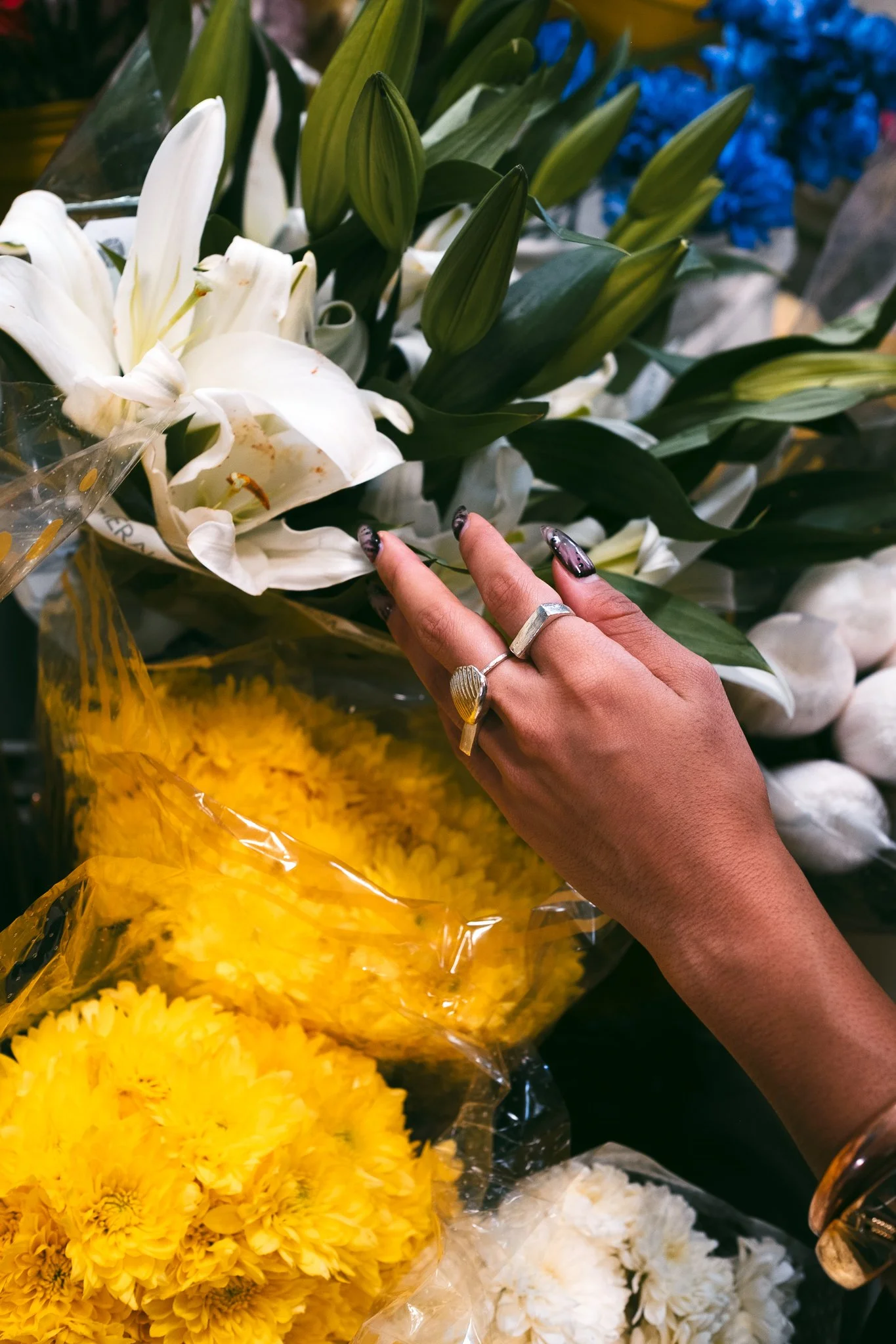 caro photoshoot-7.jpg