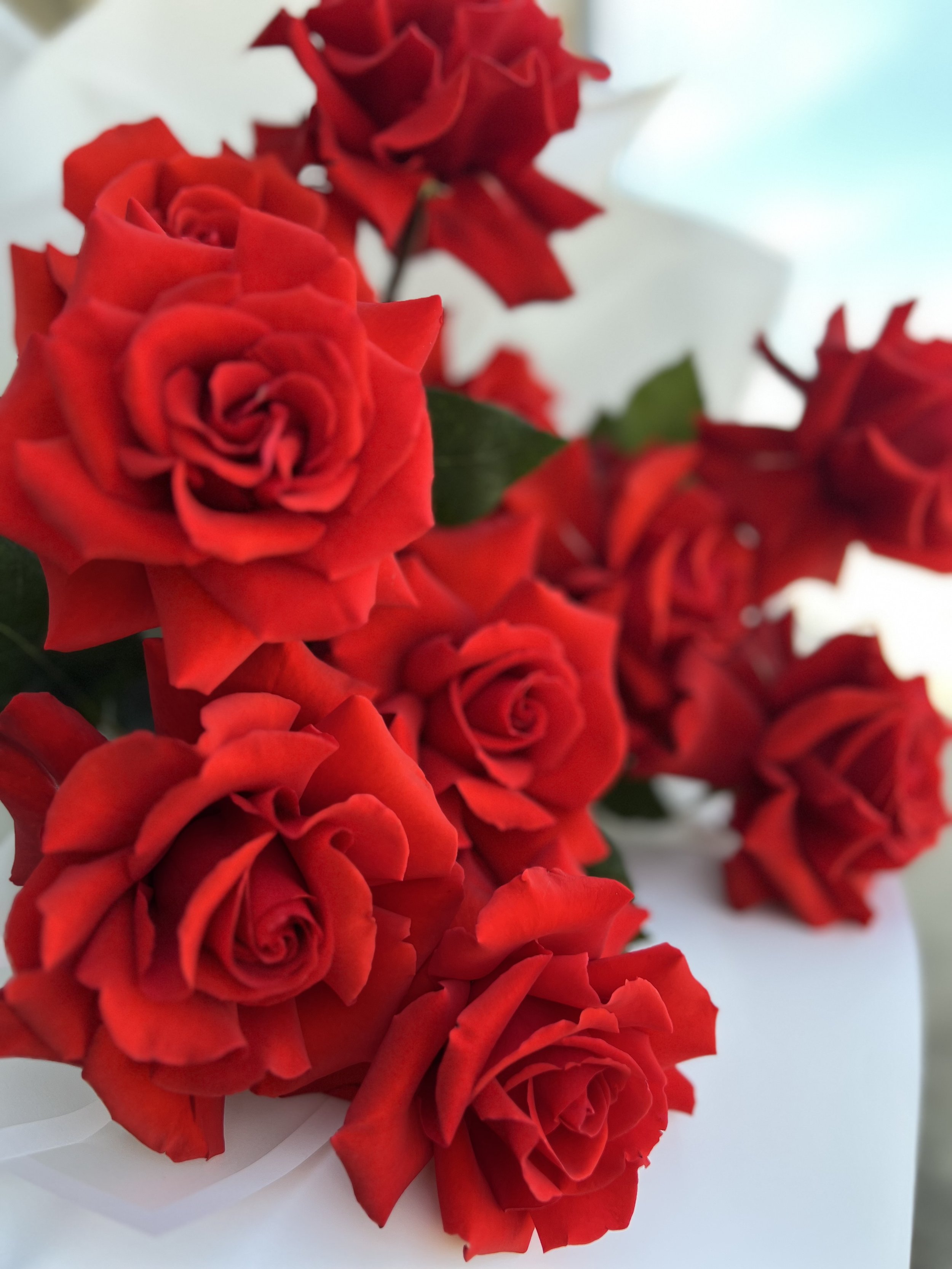 ADORE YOU 💘 VALENTINES DAY PRE ORDER