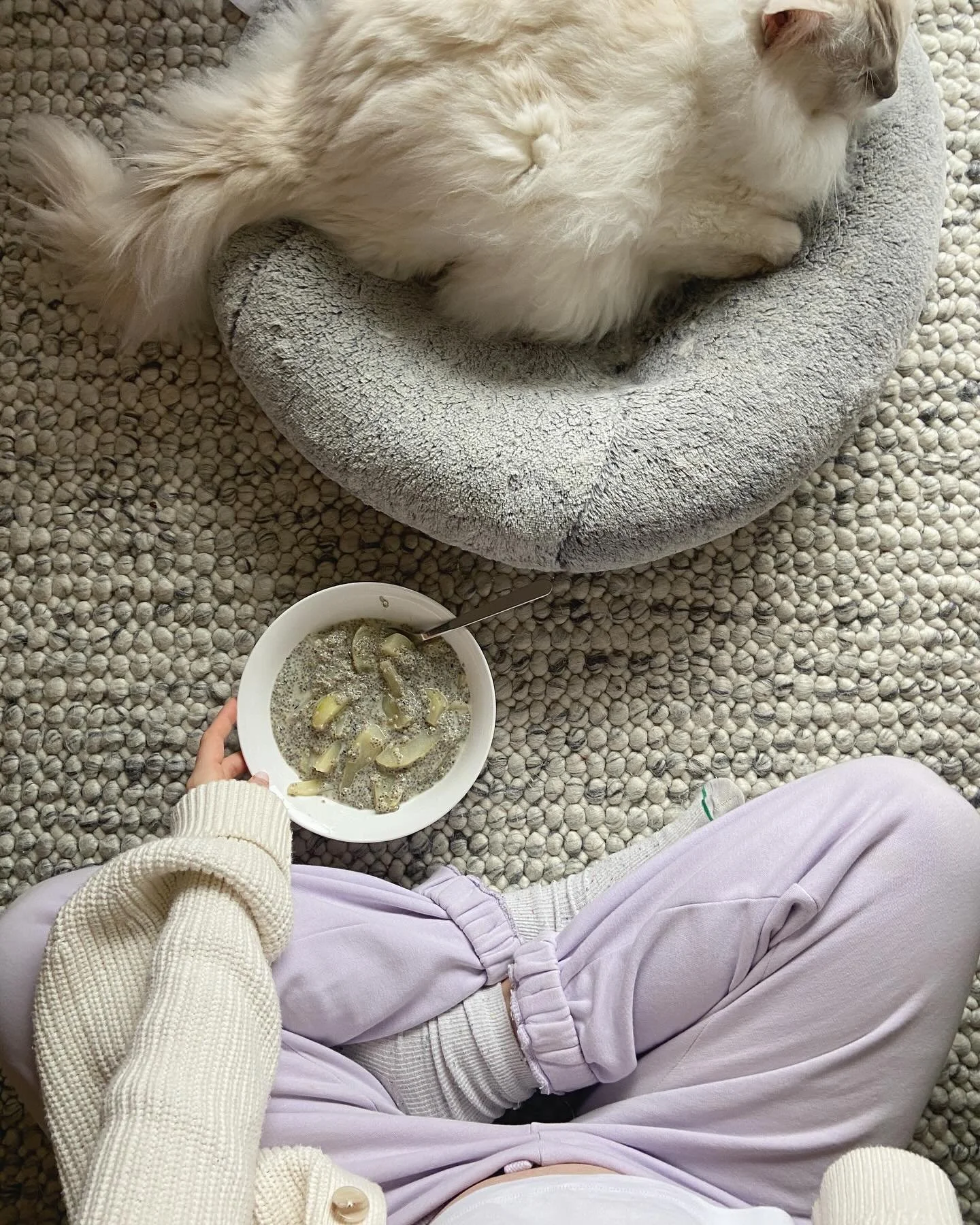 February
1. Breakfast in my favourite spot
2. Moments of home 
3. Teddy Roo is five
4. My second home
5. Lunch dessert is my love language 
6. Welcoming the third trimester