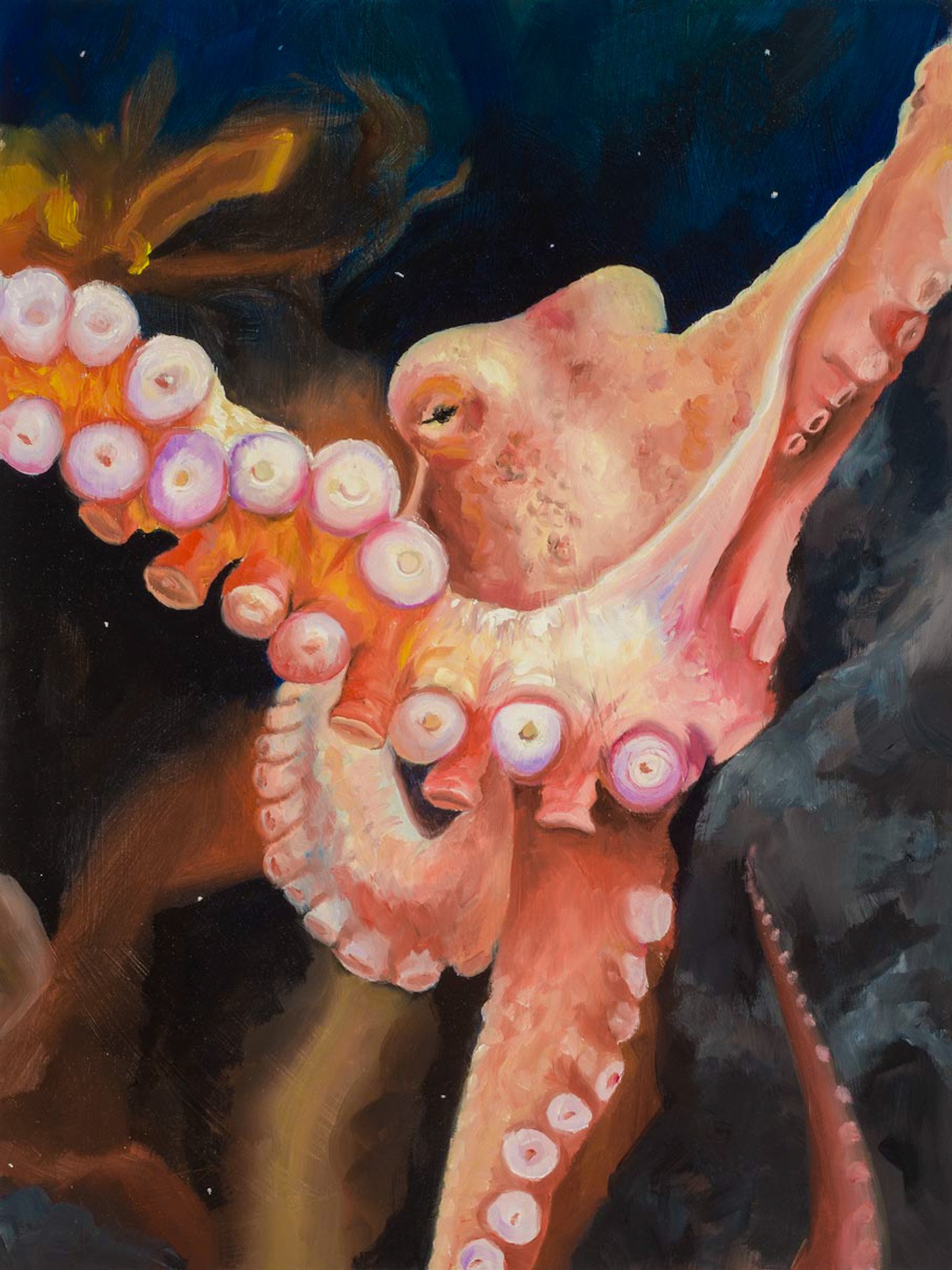 Mr. Octopus