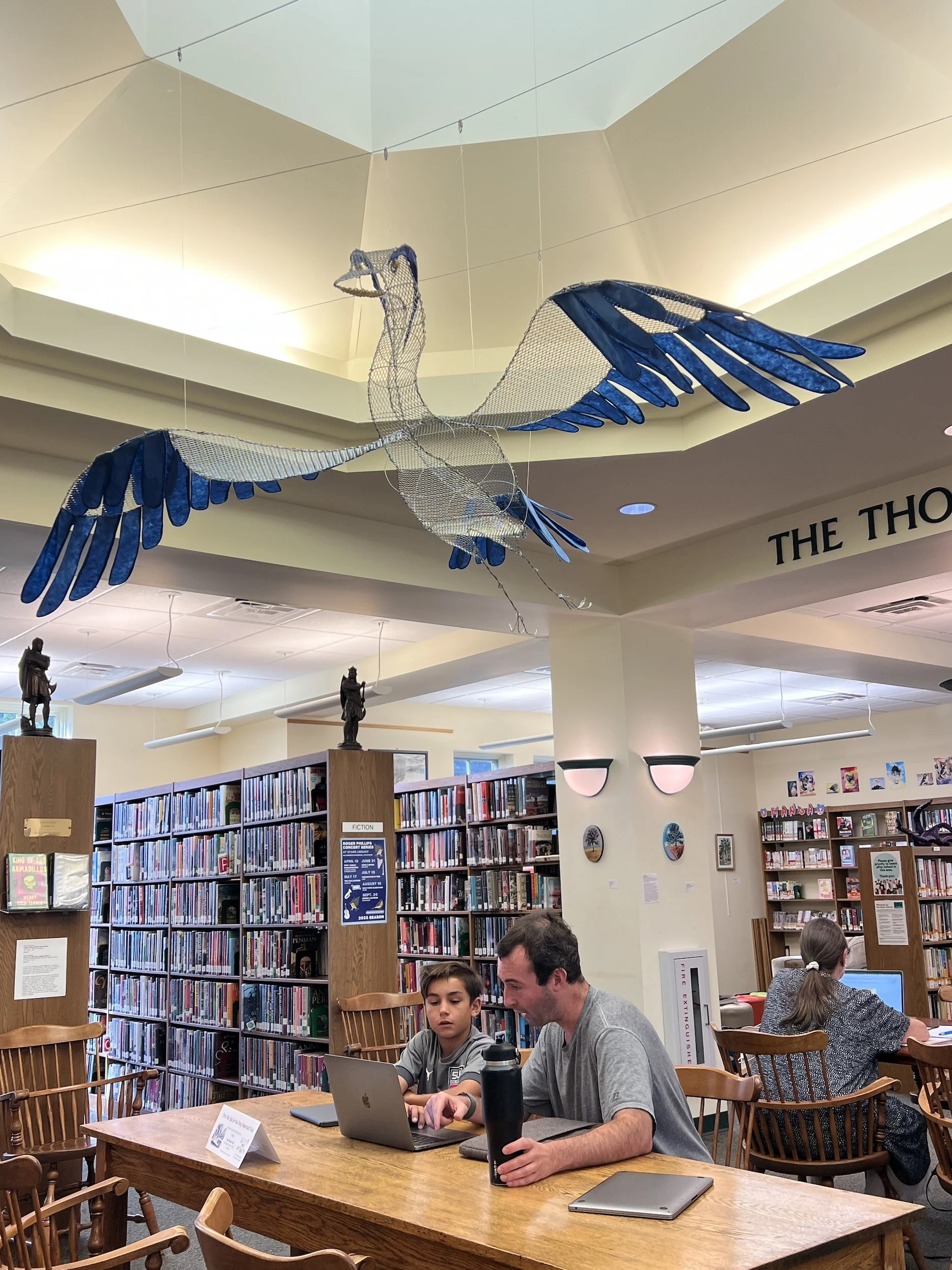 Fugitive Blue, library view, 2025, steel wire, galvanized mesh, lokta and mulberry paper, beads, 26” x 52” x 76”, installation Starr Library, Rhinebeck, NY