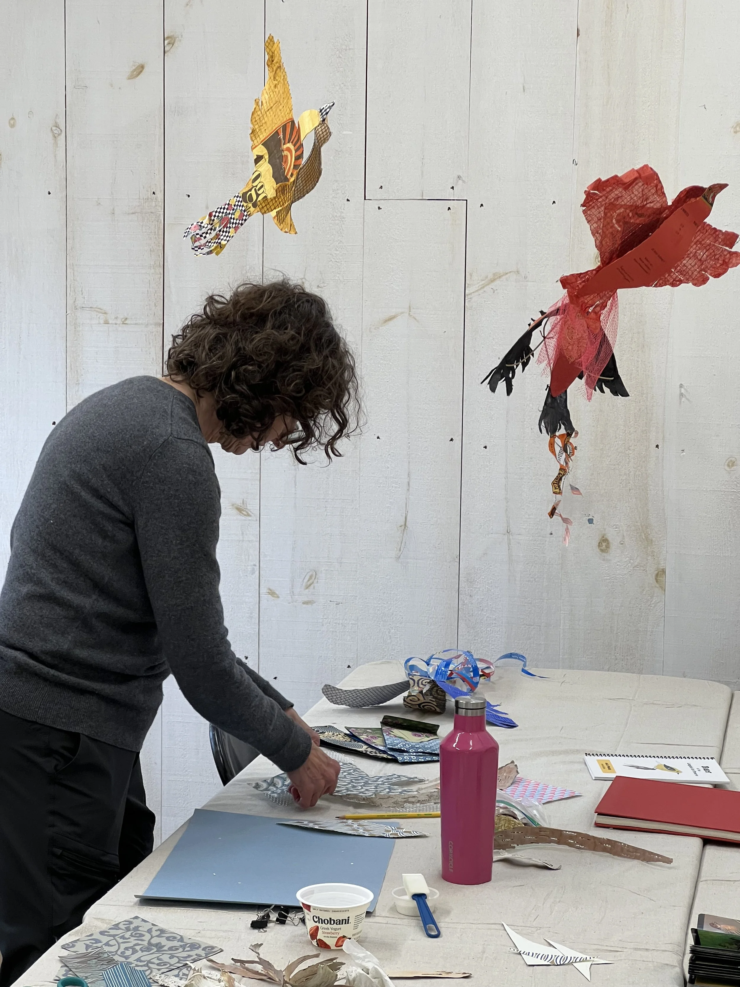 Watershed Bird Workshop Dodi.jpeg
