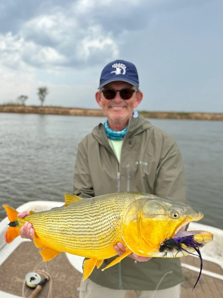 An older man in a gray jacket and blue cap holding a large bright yellow fish with black and orange fins, a fishing lure in its mouth, on a boat in a body of water with a cloudy sky and a distant shoreline.