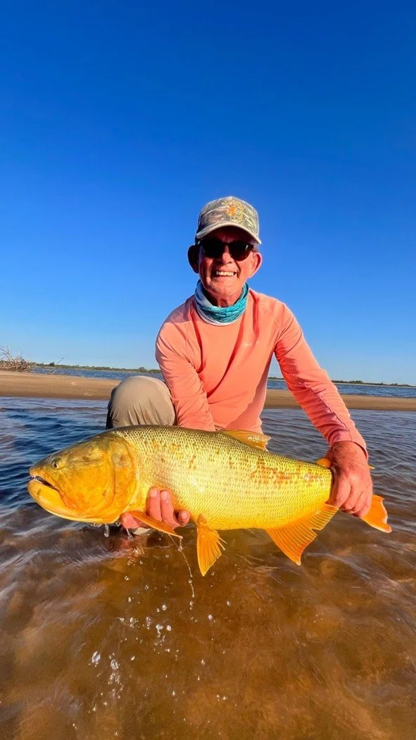 A man wearing sunglasses, a cap, and a long-sleeve shirt is kneeling in shallow water on a beach, holding a large yellow fish with orange fins.