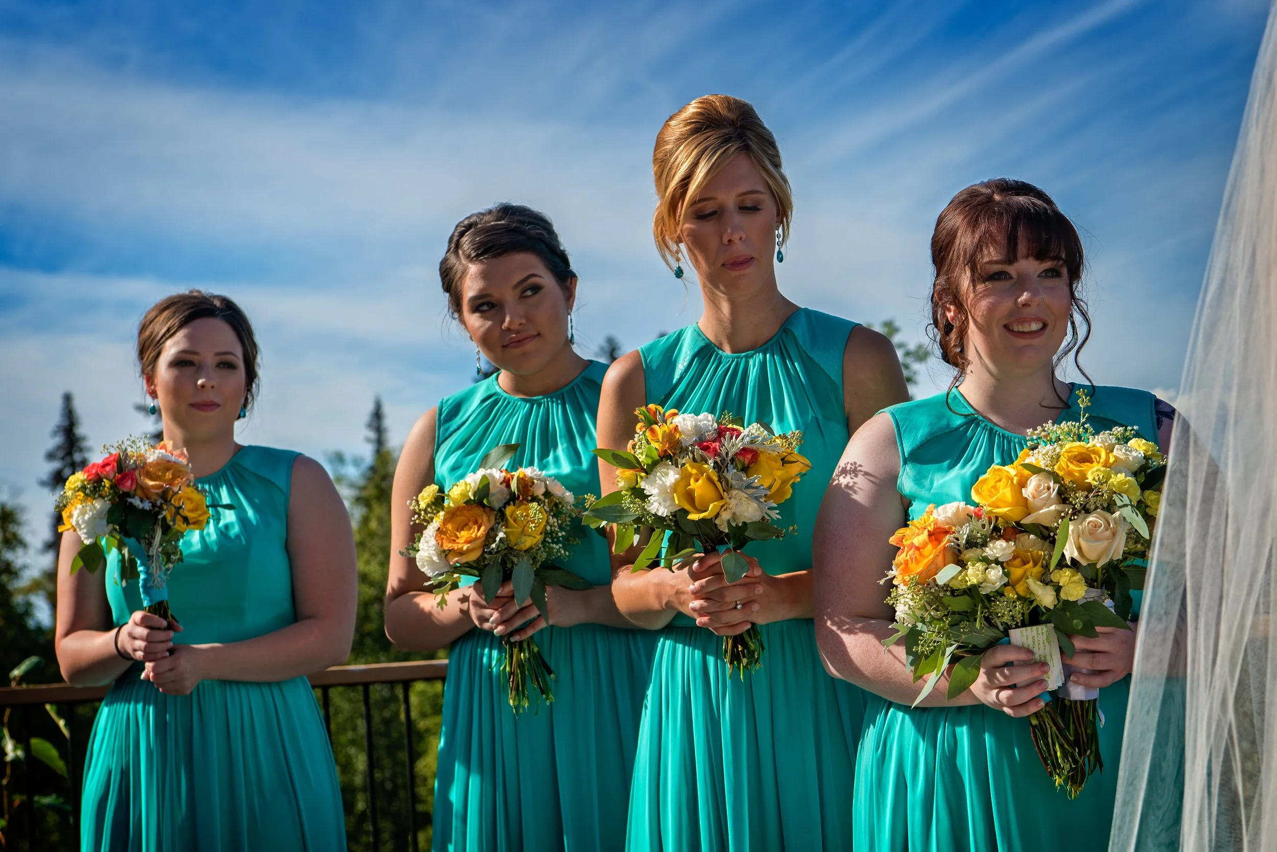 Talkeetna 2016-0012.jpg