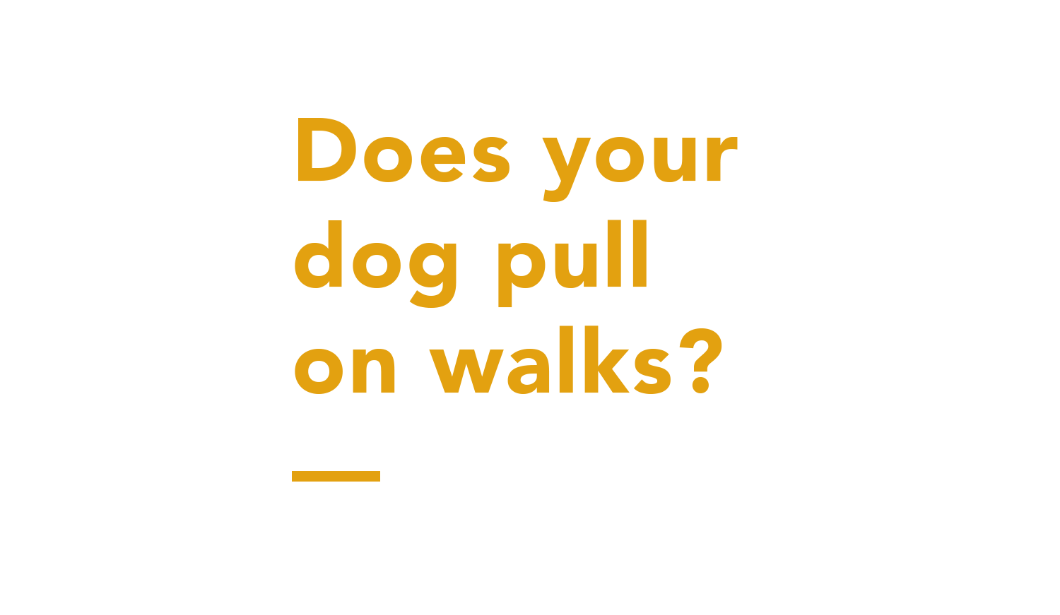connection-dog-training-does-your-dog-pull-on-walks-text.png