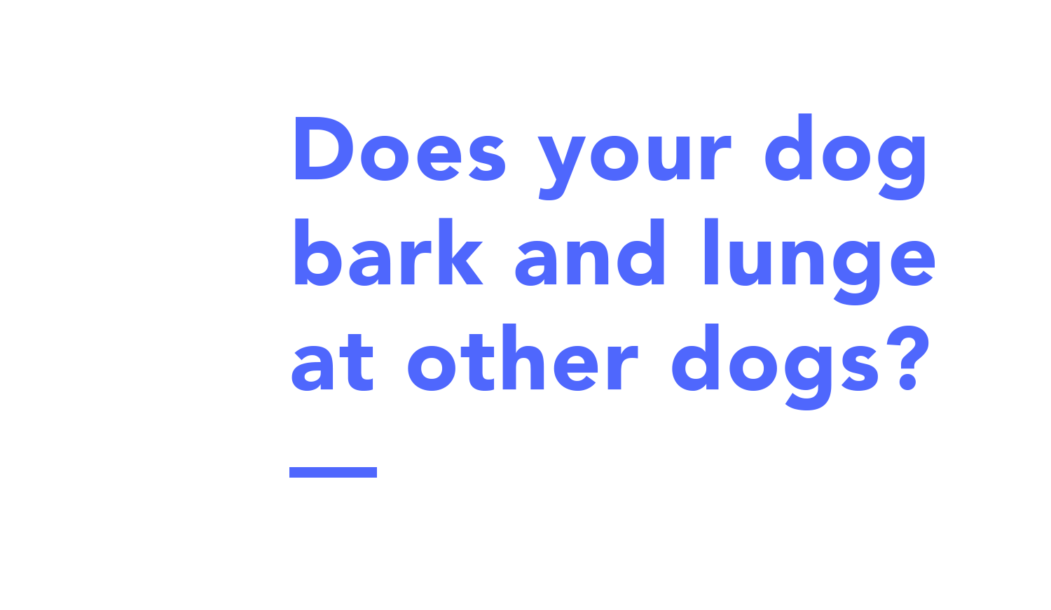 does-your-dog-bark-and-lunge-at-other-dogs-text.png