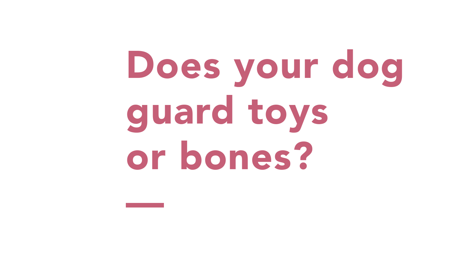 does-your-dog-guard-toys-or-bones-text.png