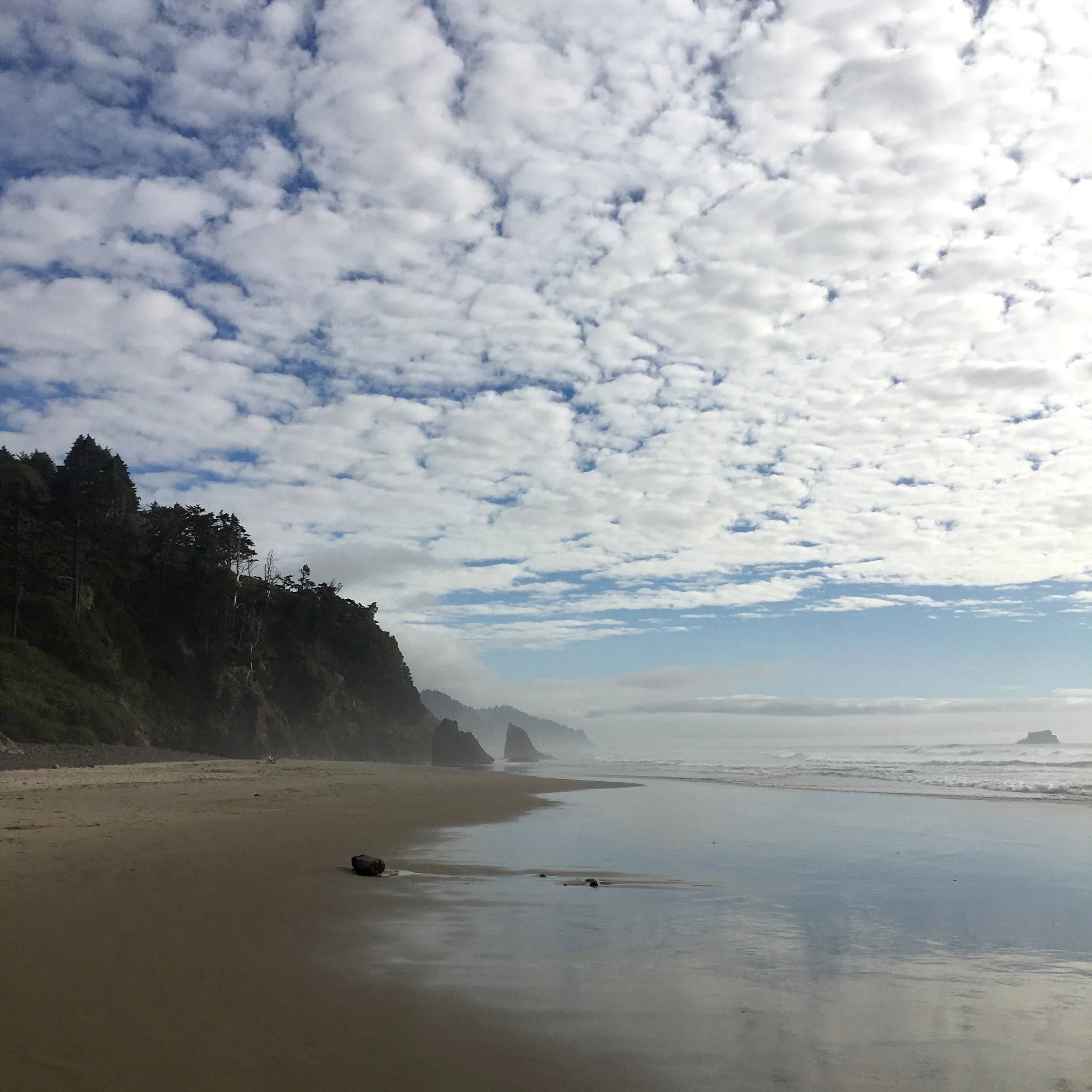 Part of the Community Gallery
Oregon North Coast
No ads. No noise. Just a reminder of why we&rsquo;re here. - Truffle Shuffle Media #truffleshufflemedia
#communitygallery
#beneaththebreakwater #Oregoncoast