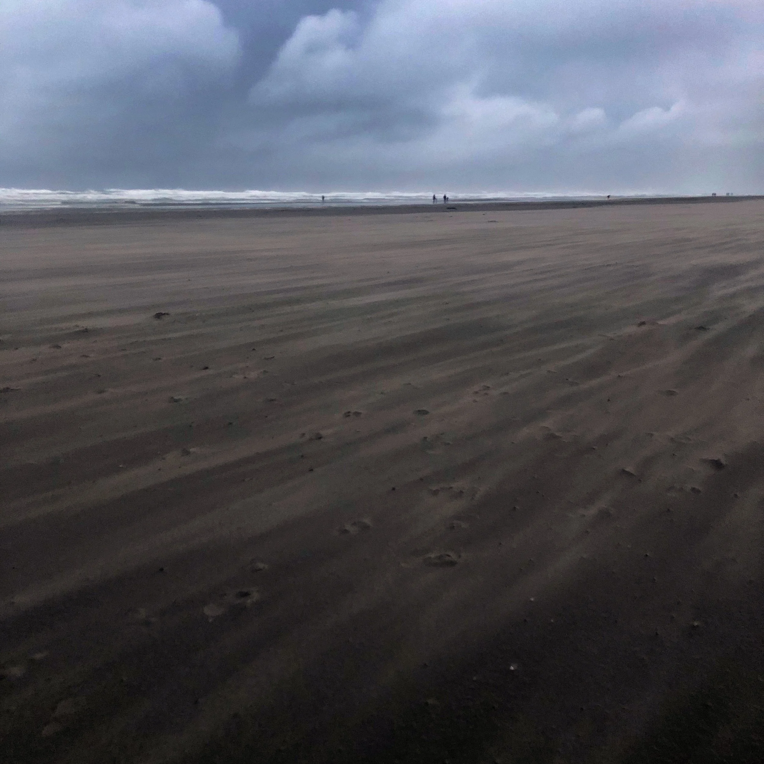 Part of the Community Gallery
Oregon North Coast
No ads. No noise. Just a reminder of why we&rsquo;re here. - Truffle Shuffle Media #truffleshufflemedia
#communitygallery
#beneaththebreakwater #Oregoncoast