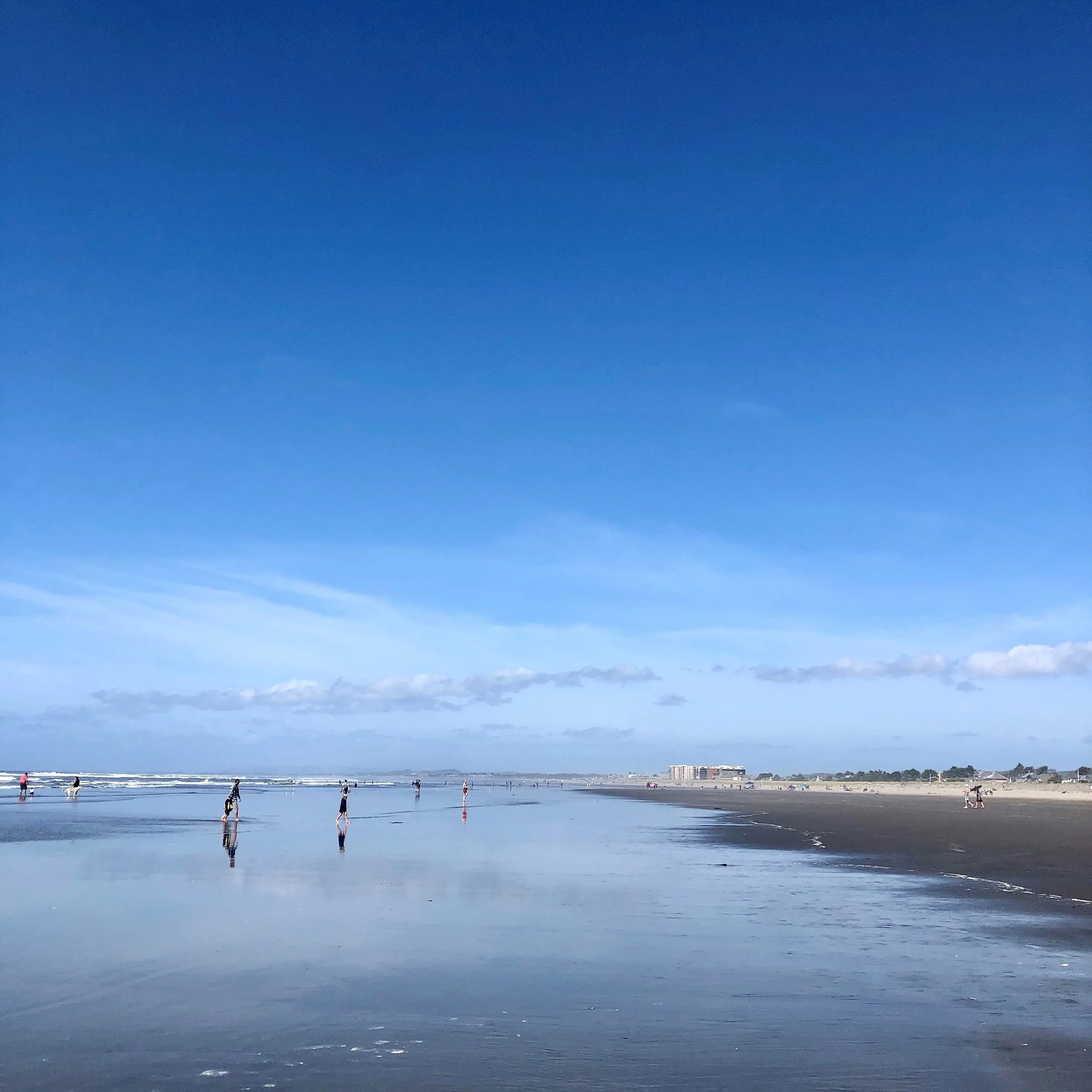 Part of the Community Gallery
Oregon North Coast
No ads. No noise. Just a reminder of why we&rsquo;re here. - Truffle Shuffle Media #truffleshufflemedia
#communitygallery
#beneaththebreakwater #Oregoncoast
