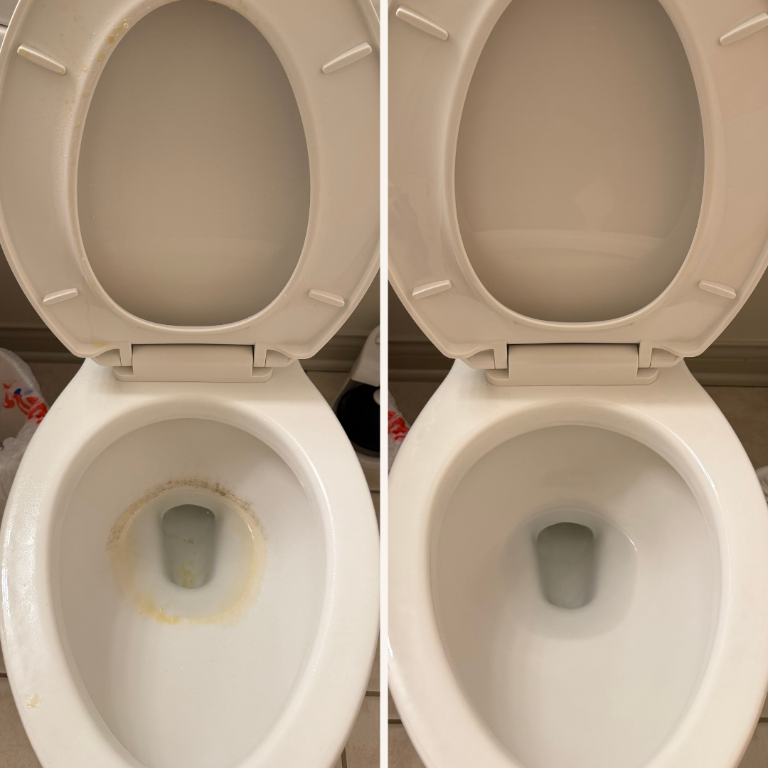 Untitled design-2.png