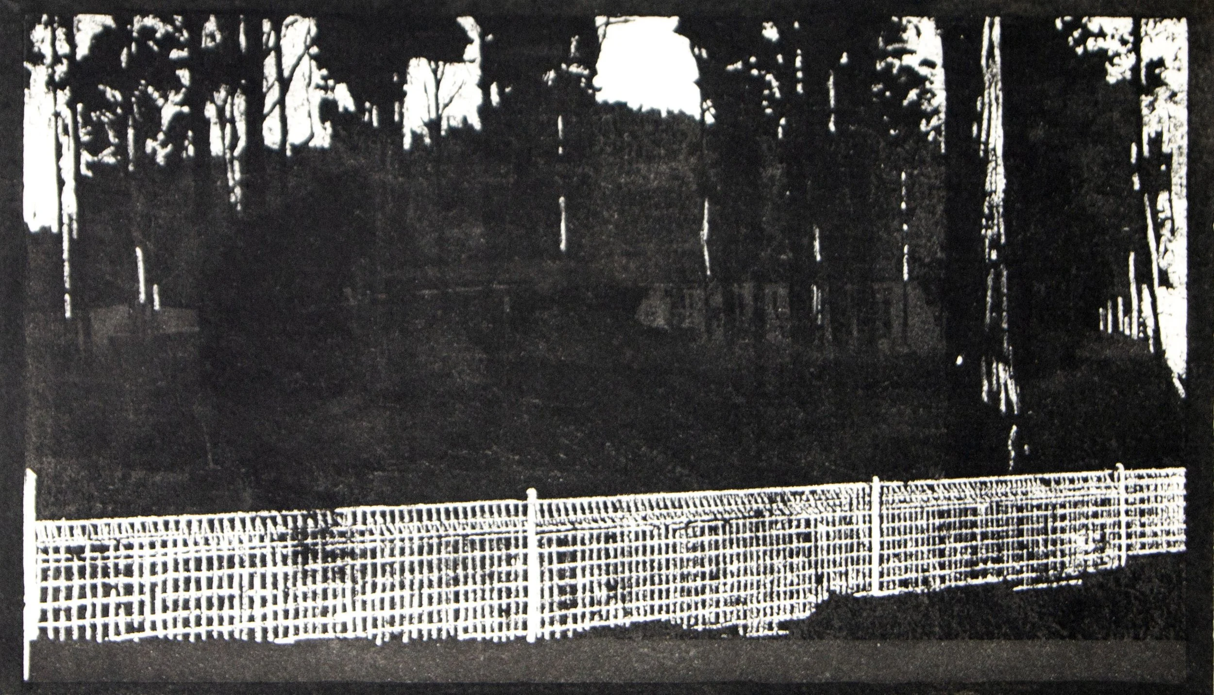 fence.jpg