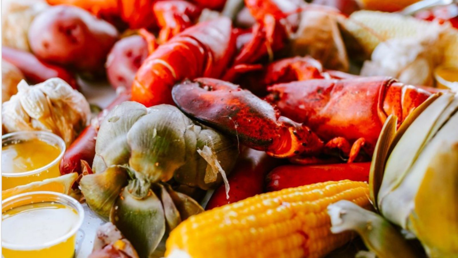 LOBSTER-FEED-IMAGE.png