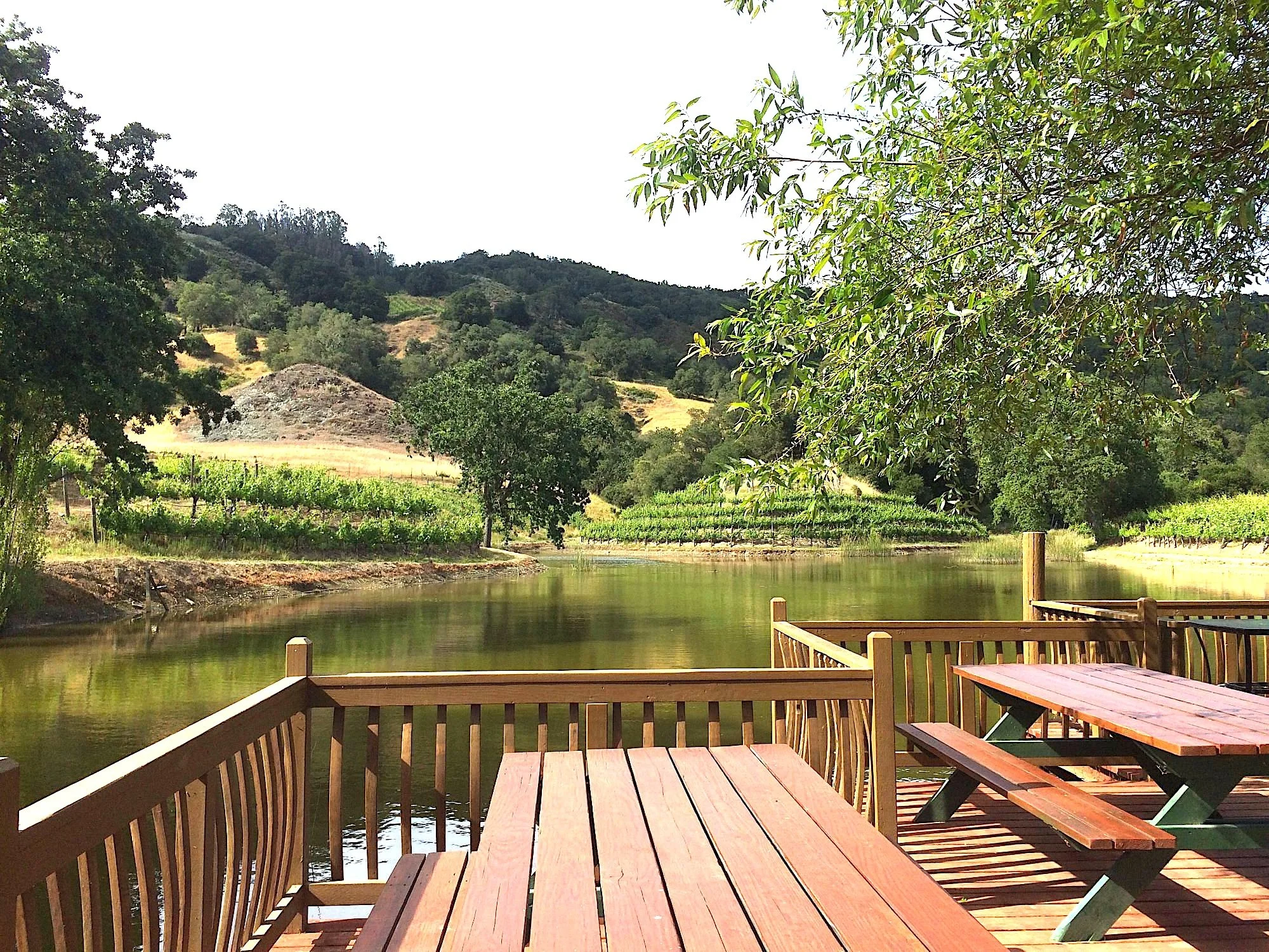 A scenic view of a lake surrounded by lush green trees and rolling hills, seen from a wooden deck with picnic tables in the foreground.