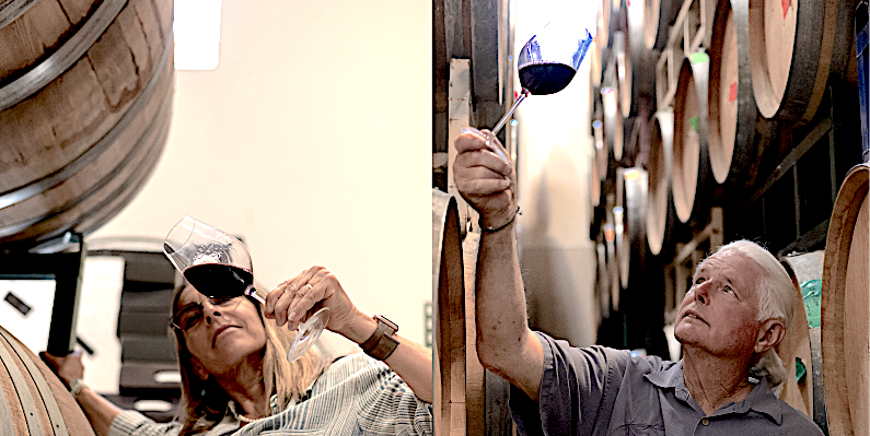 Two elderly people wine tasting in a wine cellar, each examining a glass of red wine, surrounded by wine barrels.