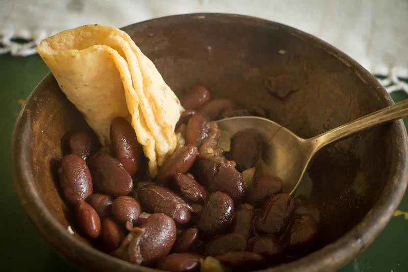 Ayocote-Morado-bean-3.png