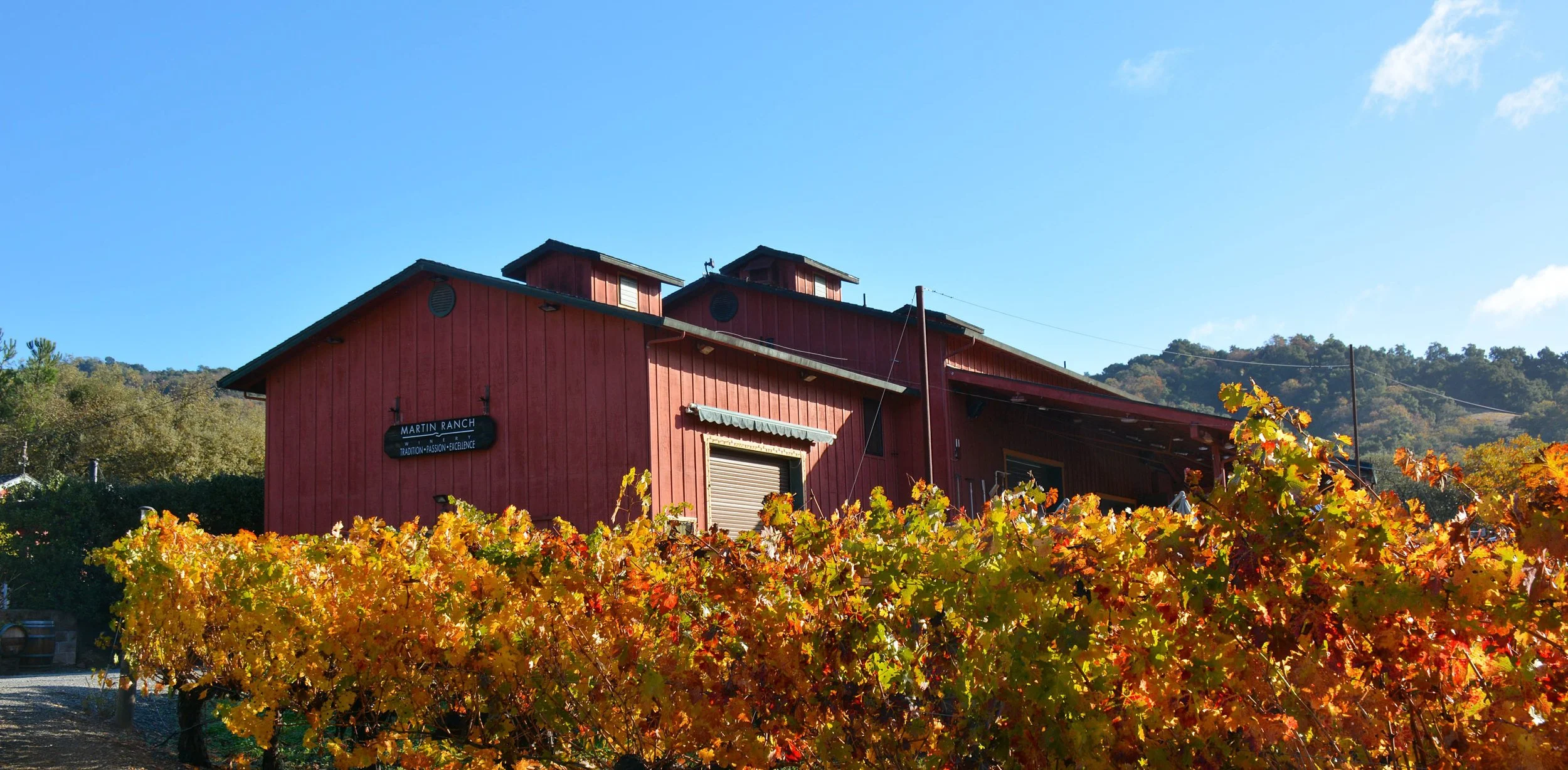 A red barn named Martin Ranch surrounded by orange and yellow autumn grapevines, with a hillside and clear blue sky in the background.