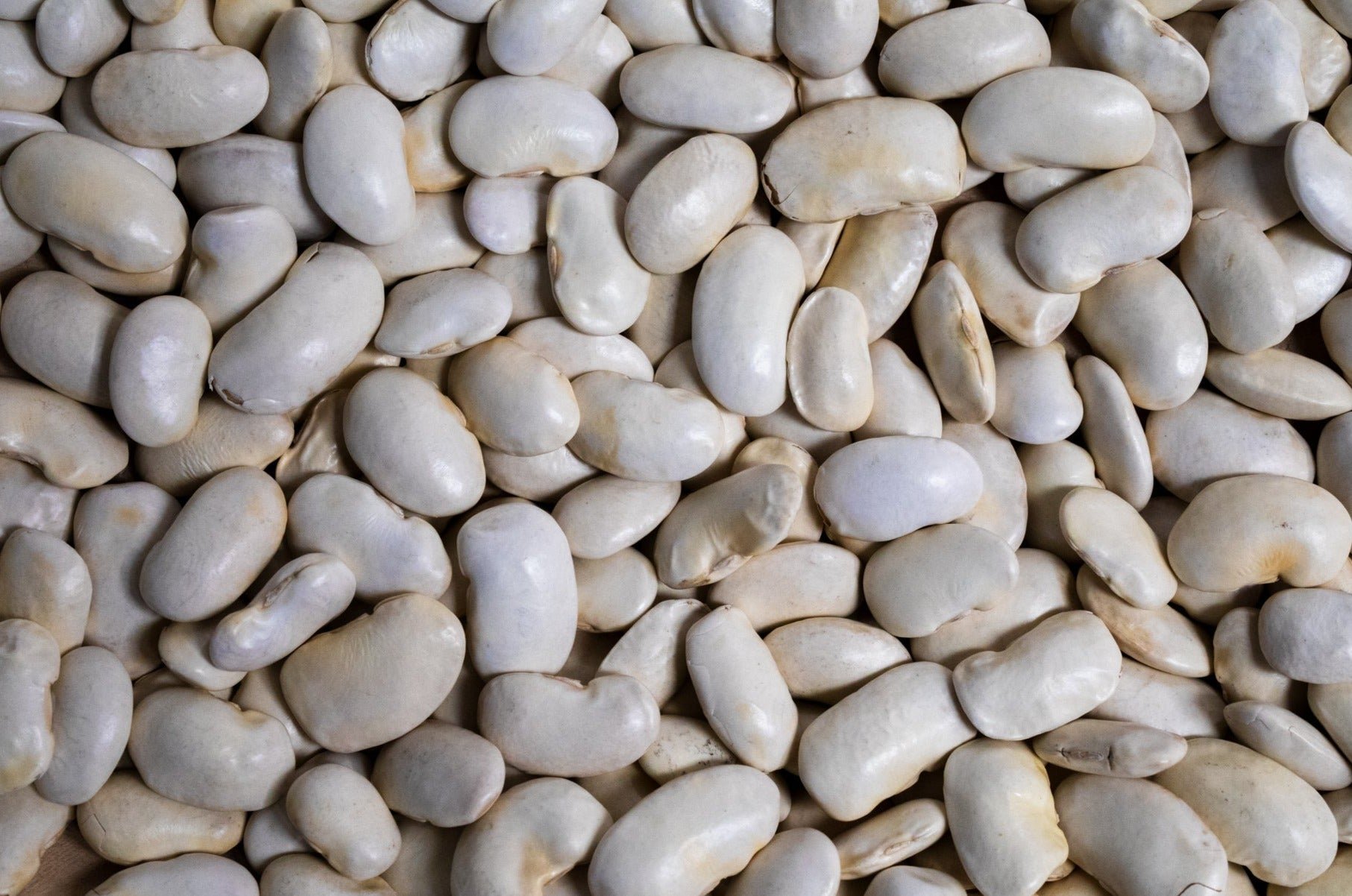 Royal Corona Beans-1.jpg