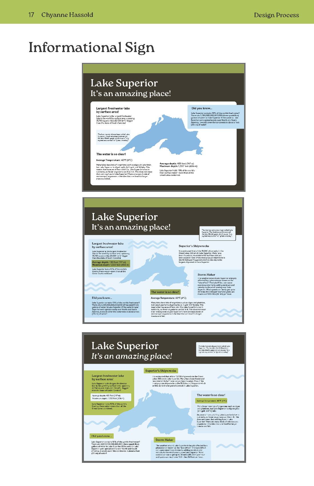 PrintHassold_Chyanne_SeniorProject_Process_Page_17.png