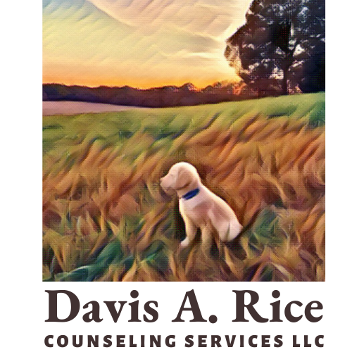 Davis A. Rice Counseling Services