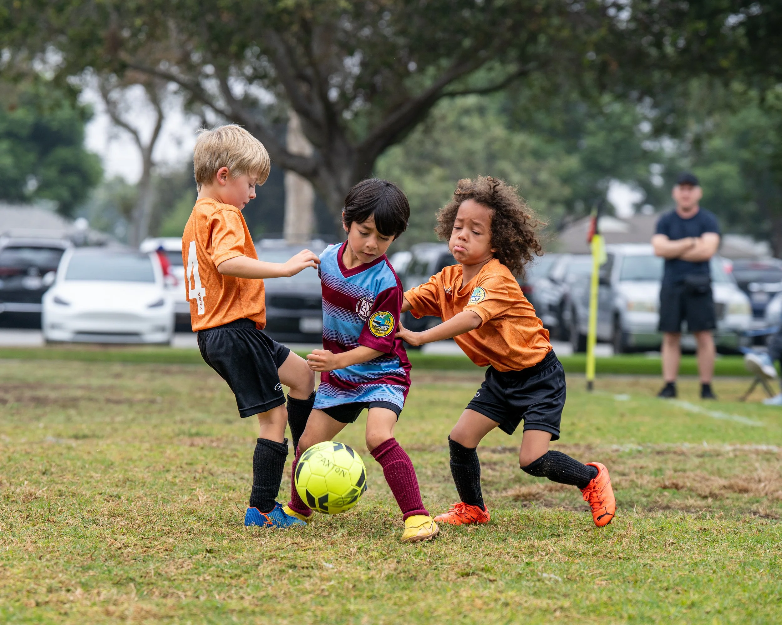 Shark Ninjas -00331.jpeg