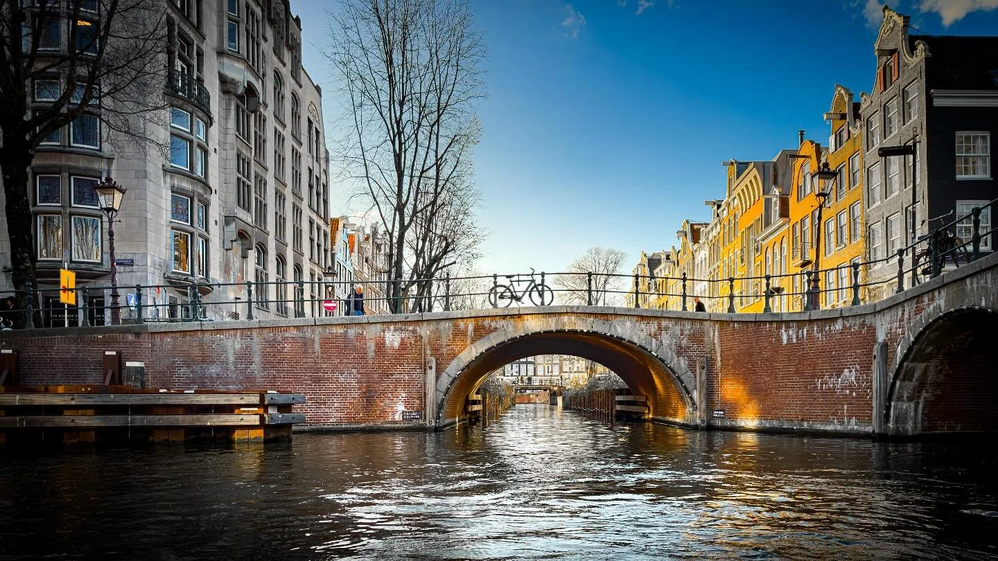 The Dutch, conquerors of water, masters of pure bicycle chaos 🇳🇱
