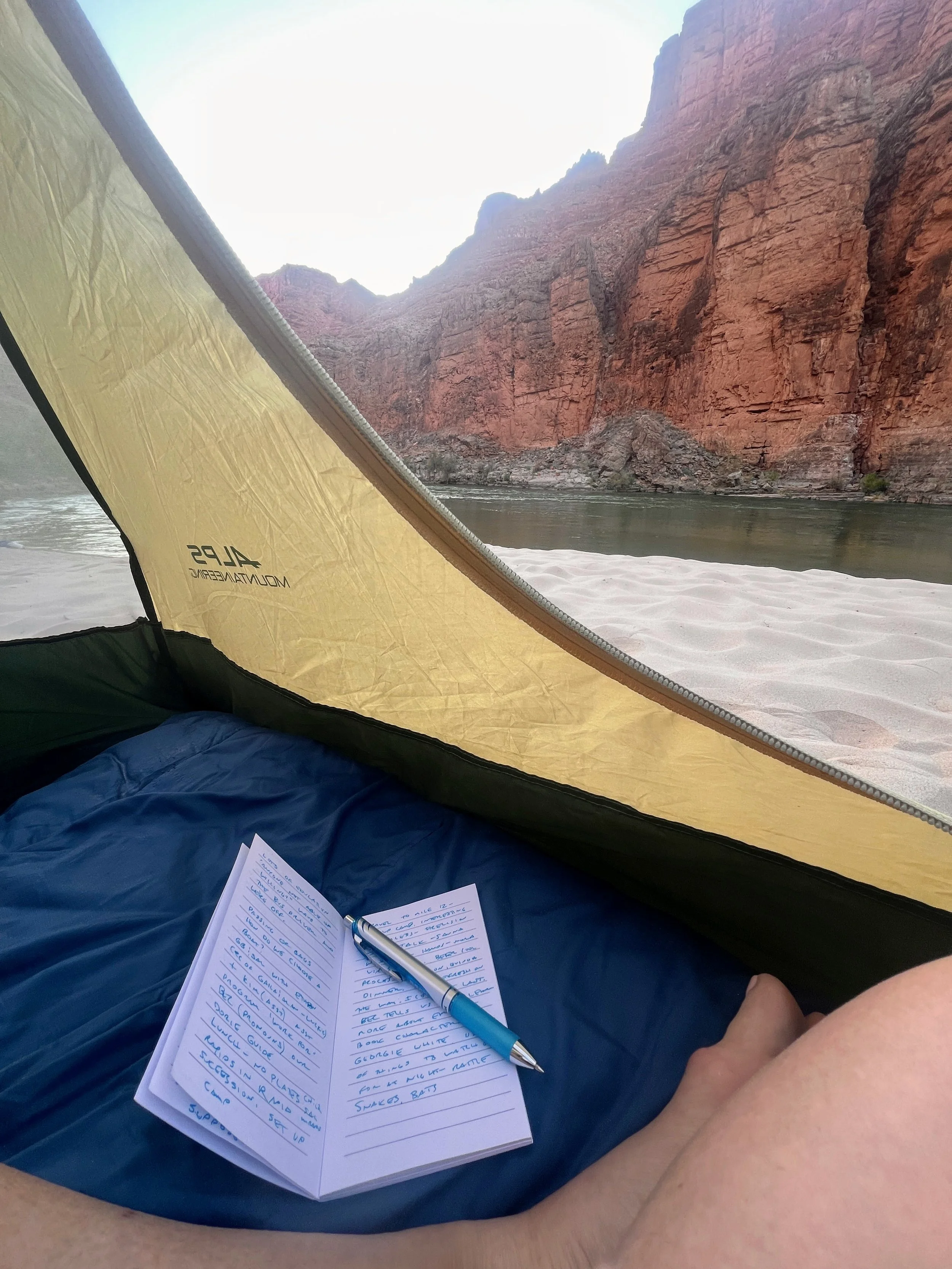 Daily journal writing