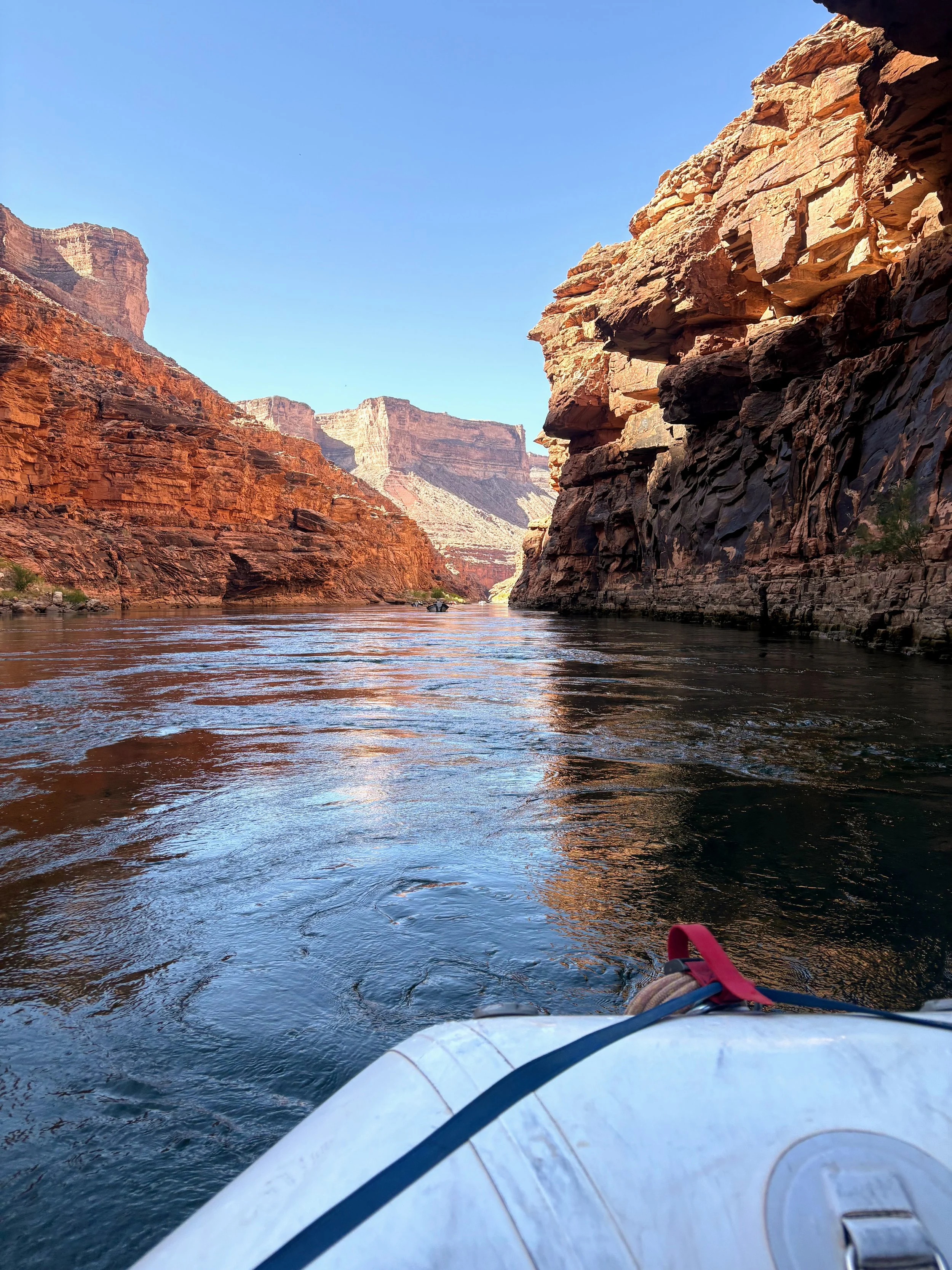 View from the raft