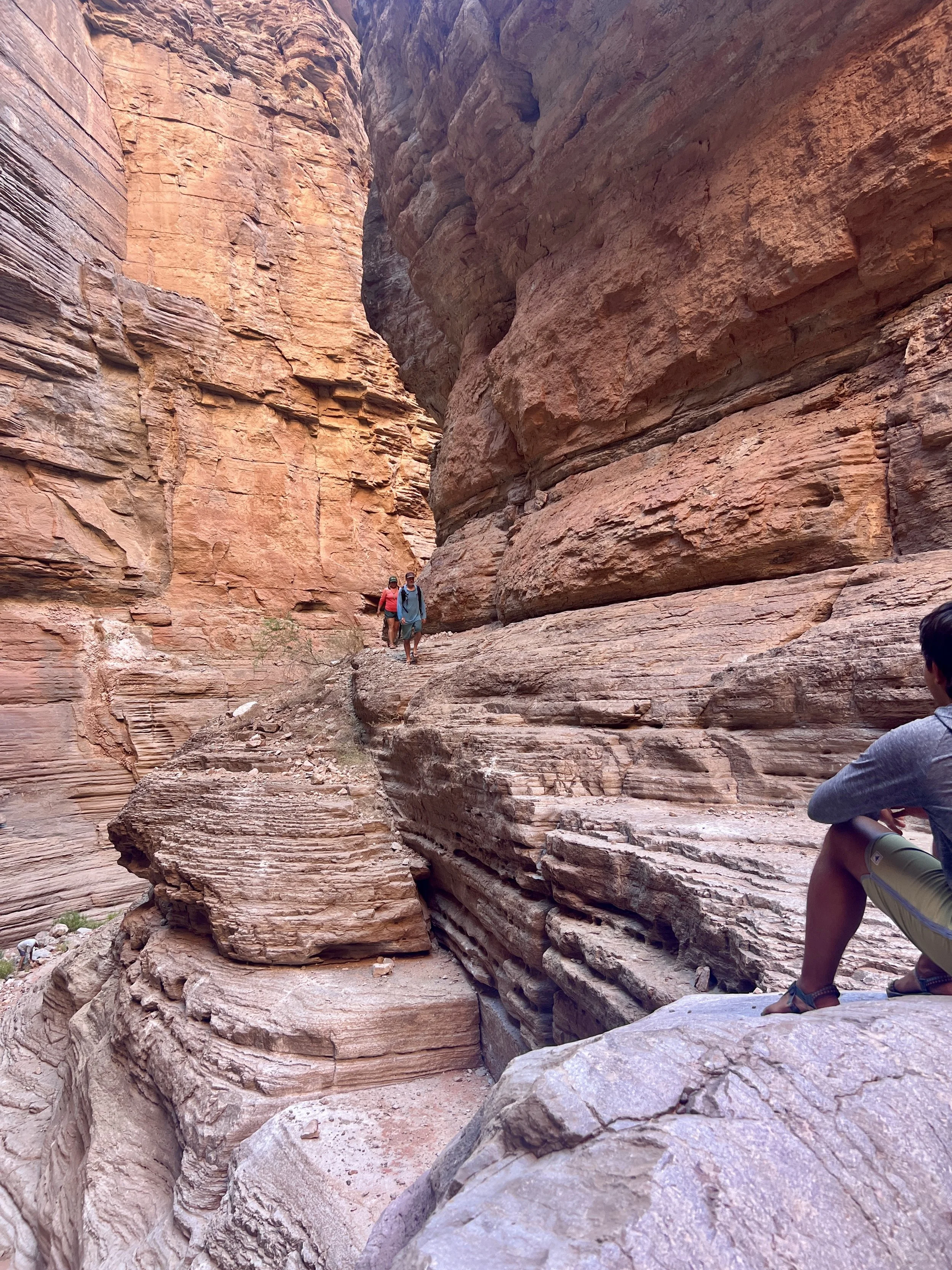 Shantel climbing