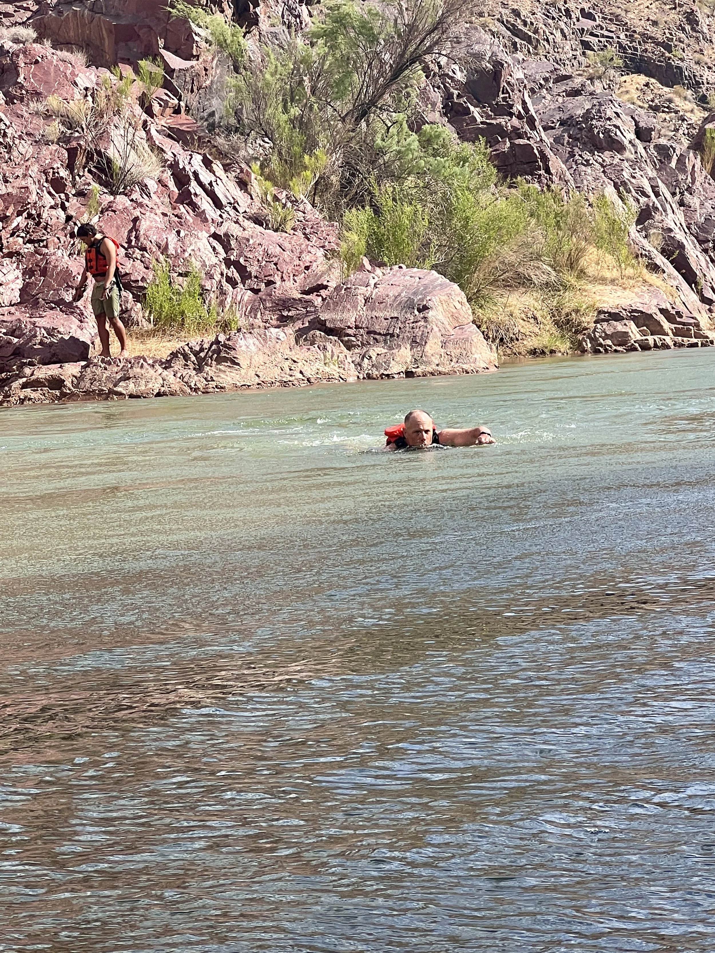Garrett swims back